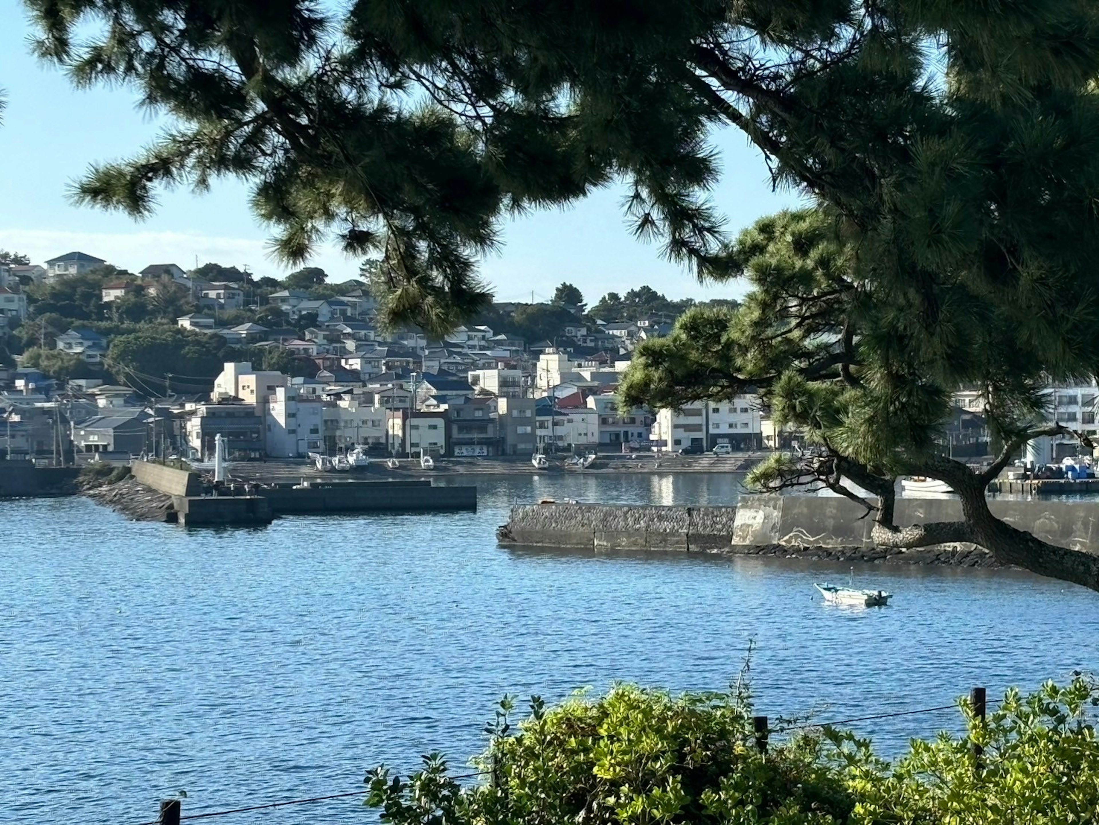 Serene coastal view of a small town by the water