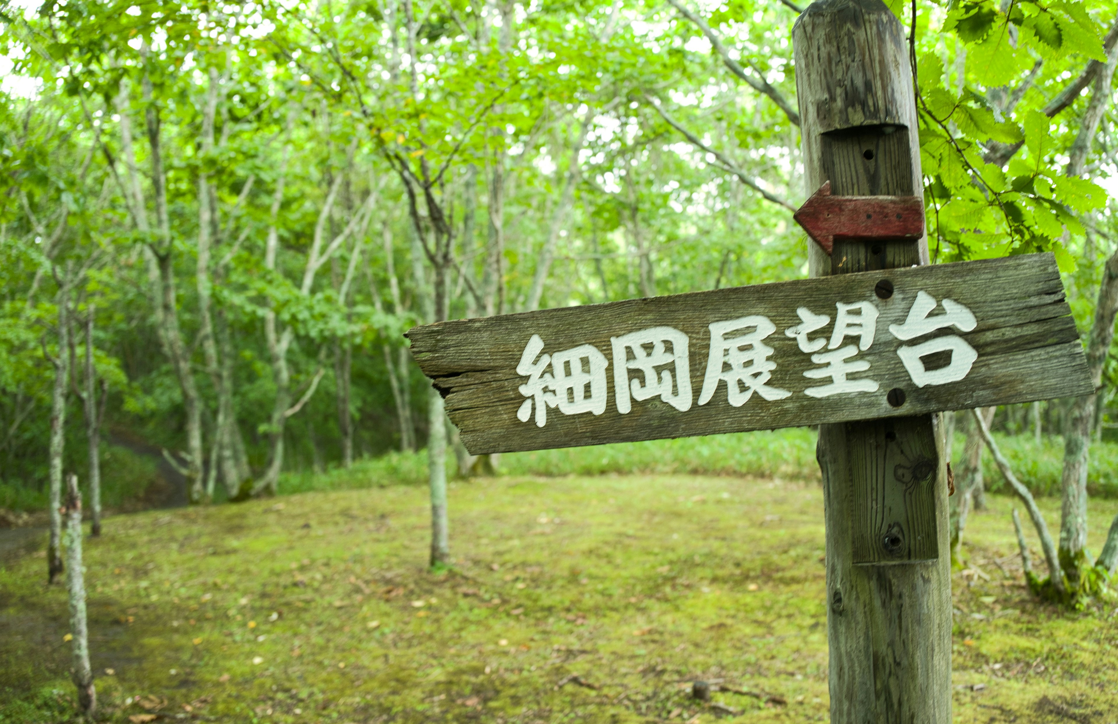 Cartel de madera para el Observatorio Hosooka en un bosque verde