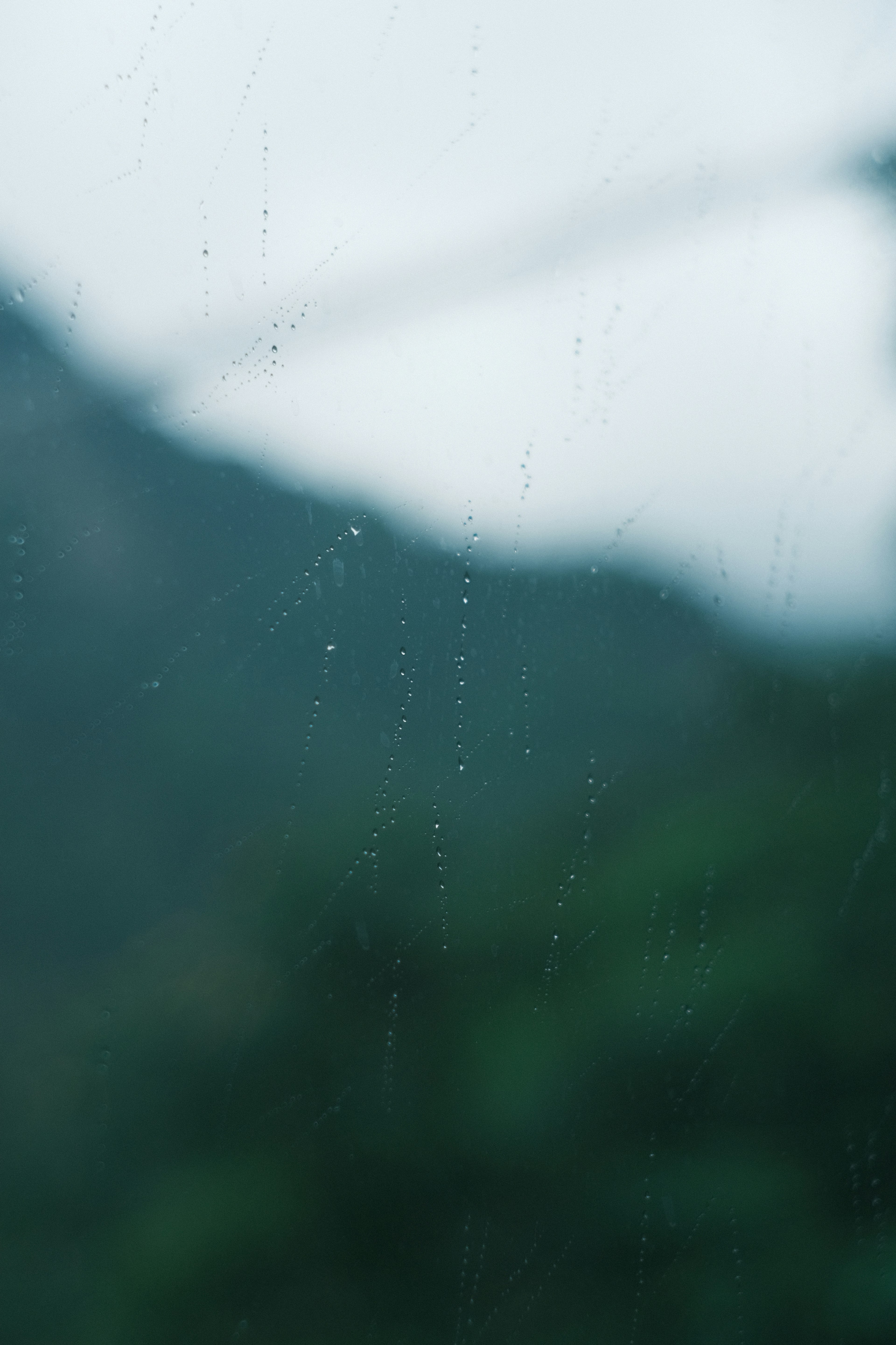 雨滴がついた窓越しのぼんやりとした山の風景