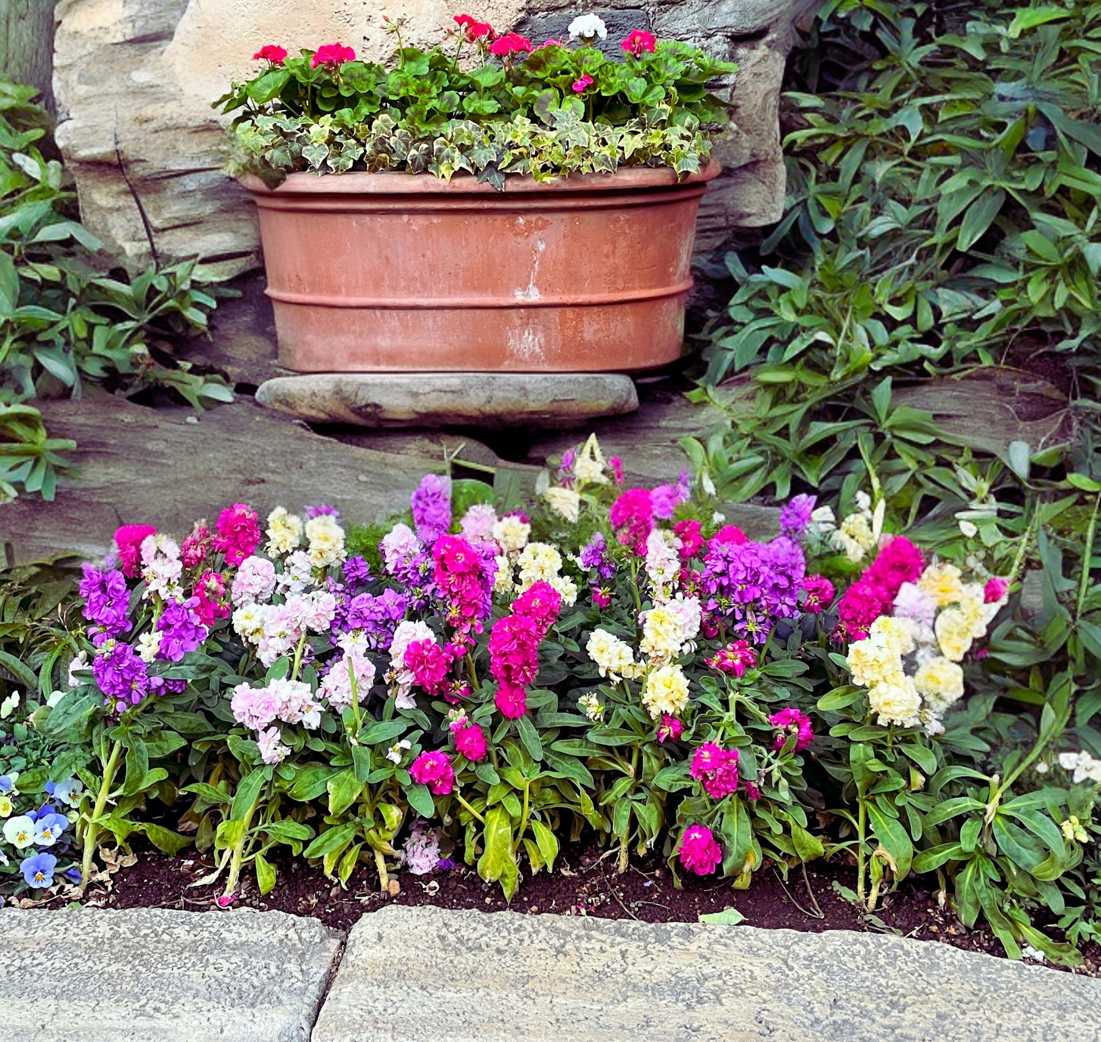 Bunte Blumen blühen in einer Gartenecke Ein Blumenbeet zeigt rosa und weiße Blüten Ein Topf hält grüne Pflanzen