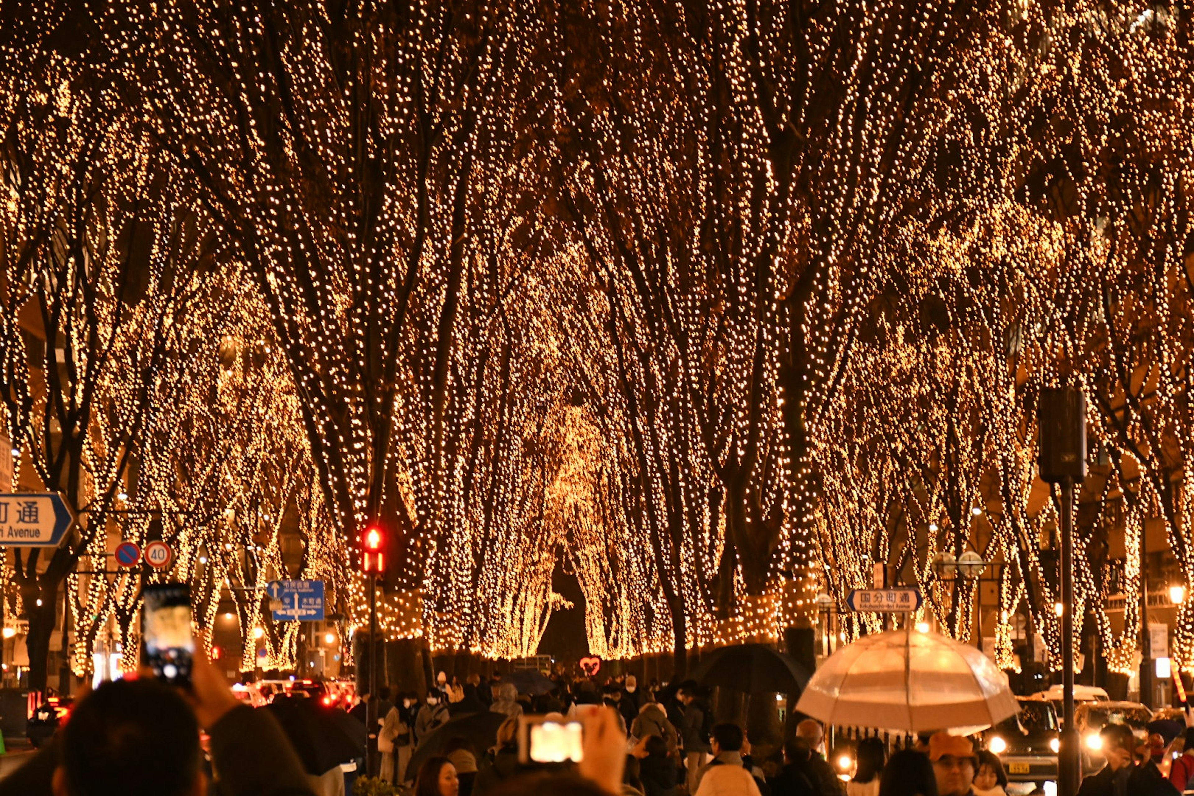 ถนนที่ประดับด้วยไฟระยิบระยับบนต้นไม้และผู้คนจำนวนมาก