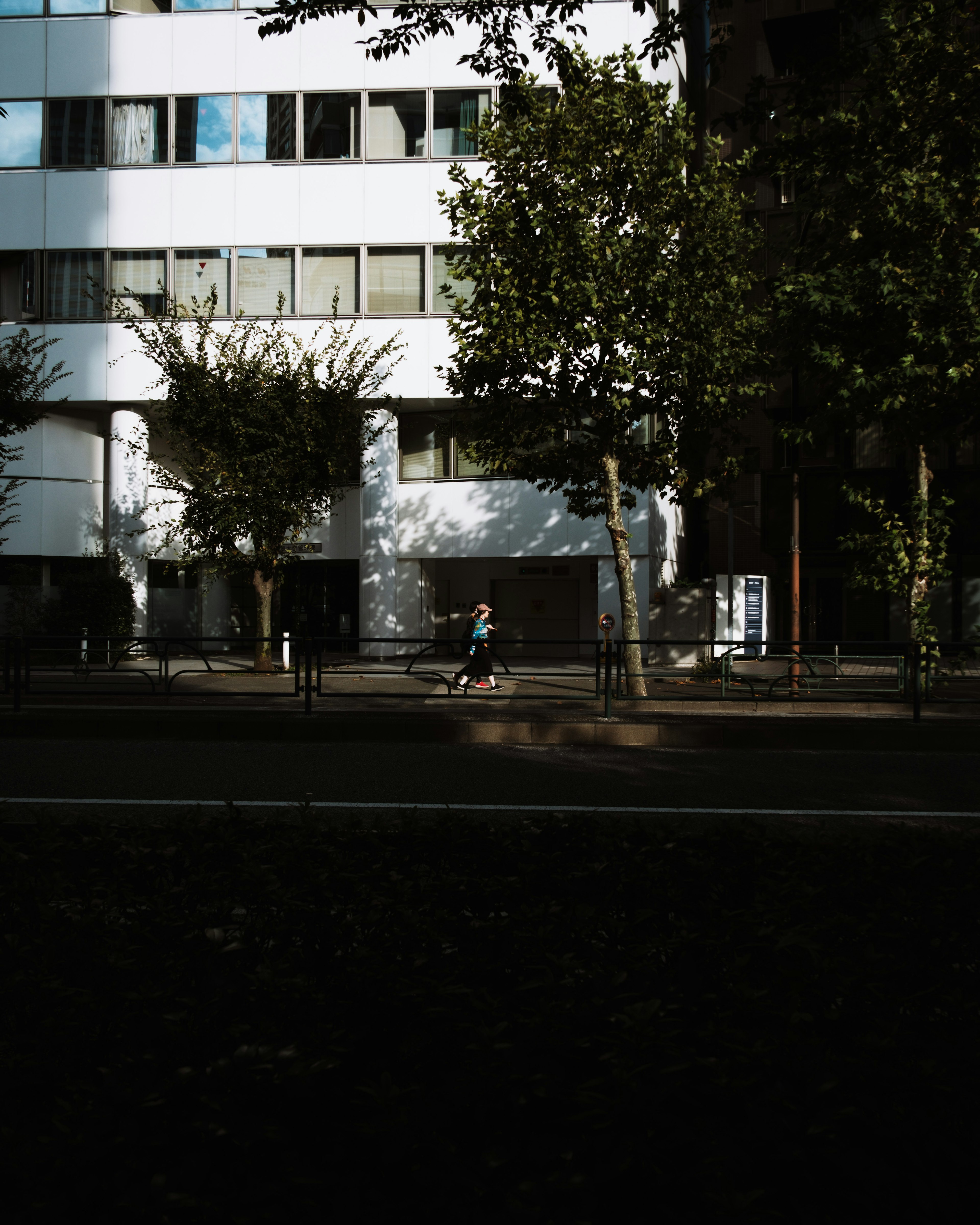 Escena de calle con un edificio blanco y árboles verdes con una persona caminando