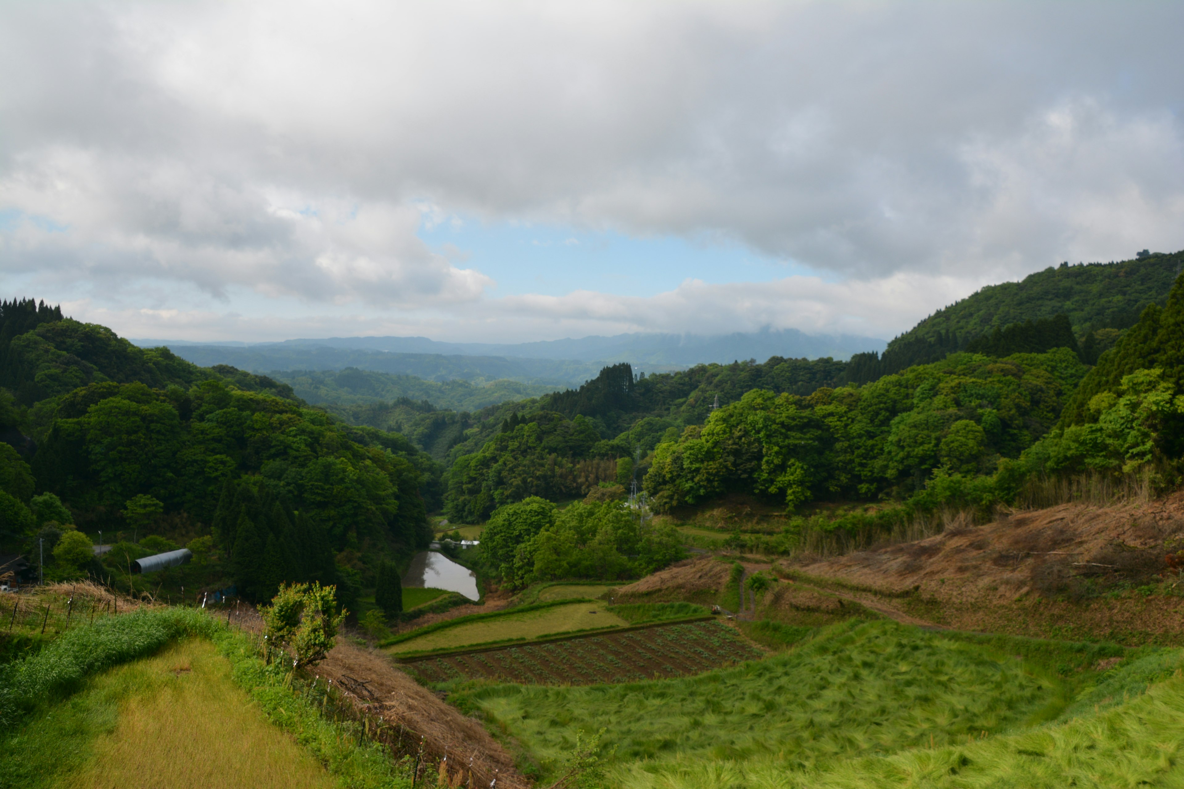 緑豊かな丘陵地帯と田んぼの風景が広がる美しい風景