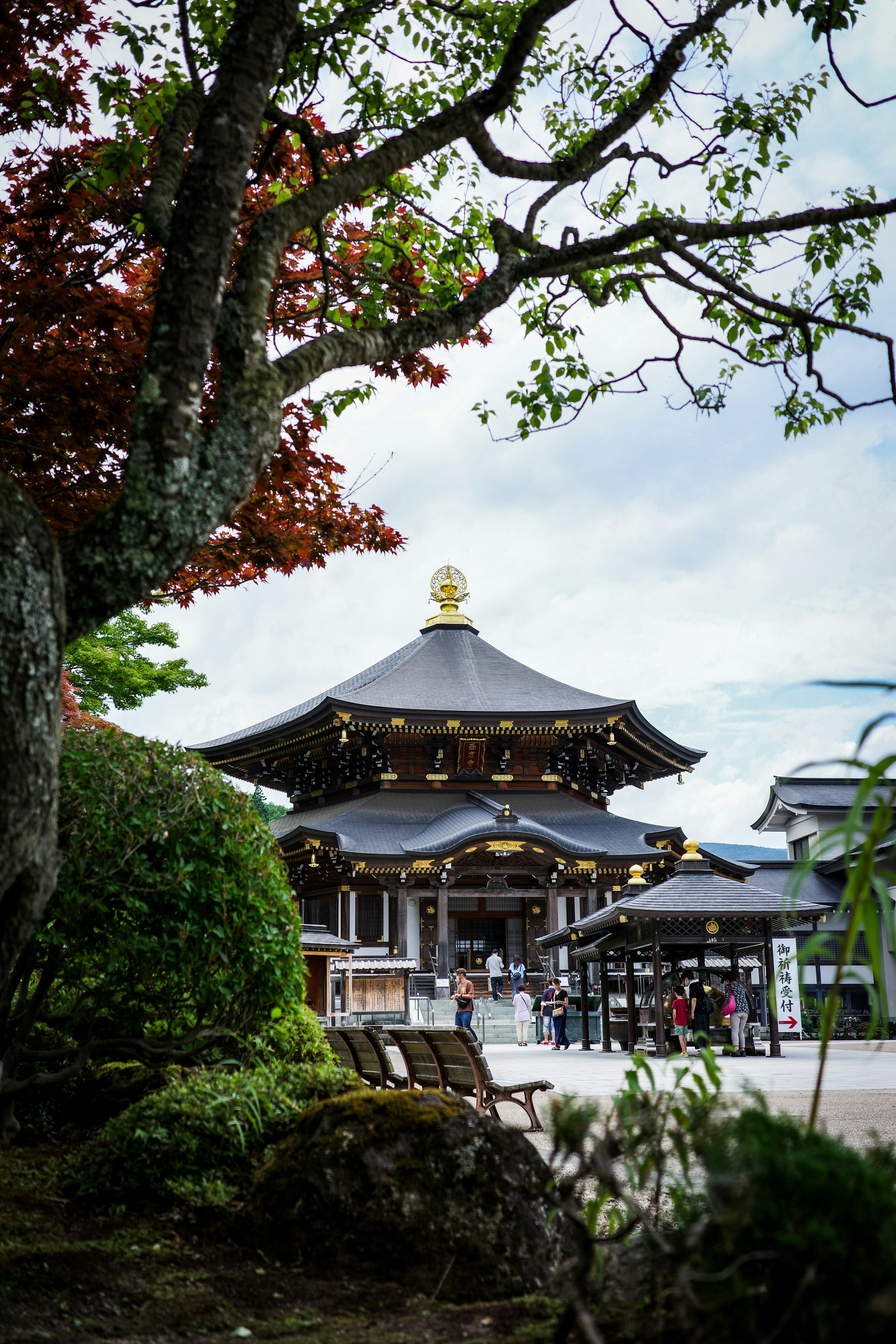 美しい日本の寺院が青空の下にあり、周囲には緑豊かな庭が広がっている