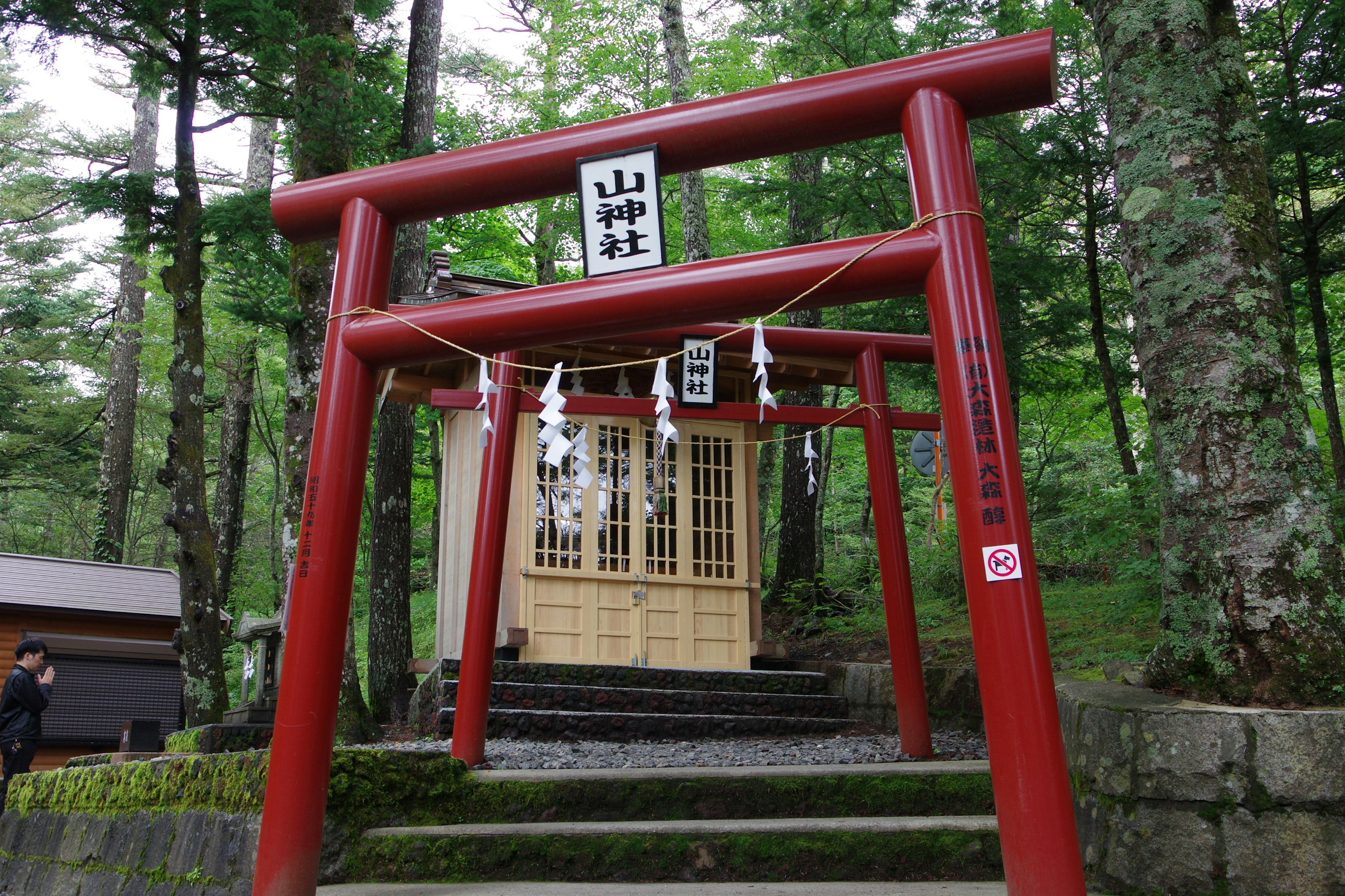 赤い鳥居と神社の建物が見える森の中の風景