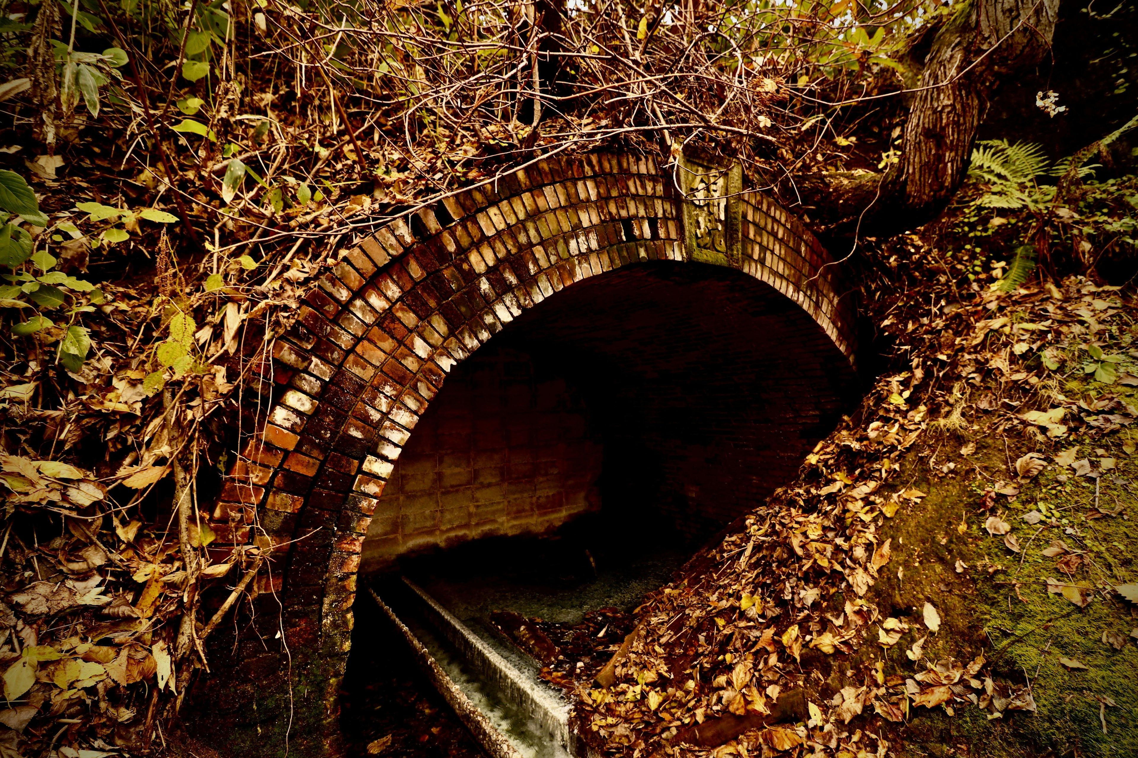 An old brick arch bridge covered with fallen leaves