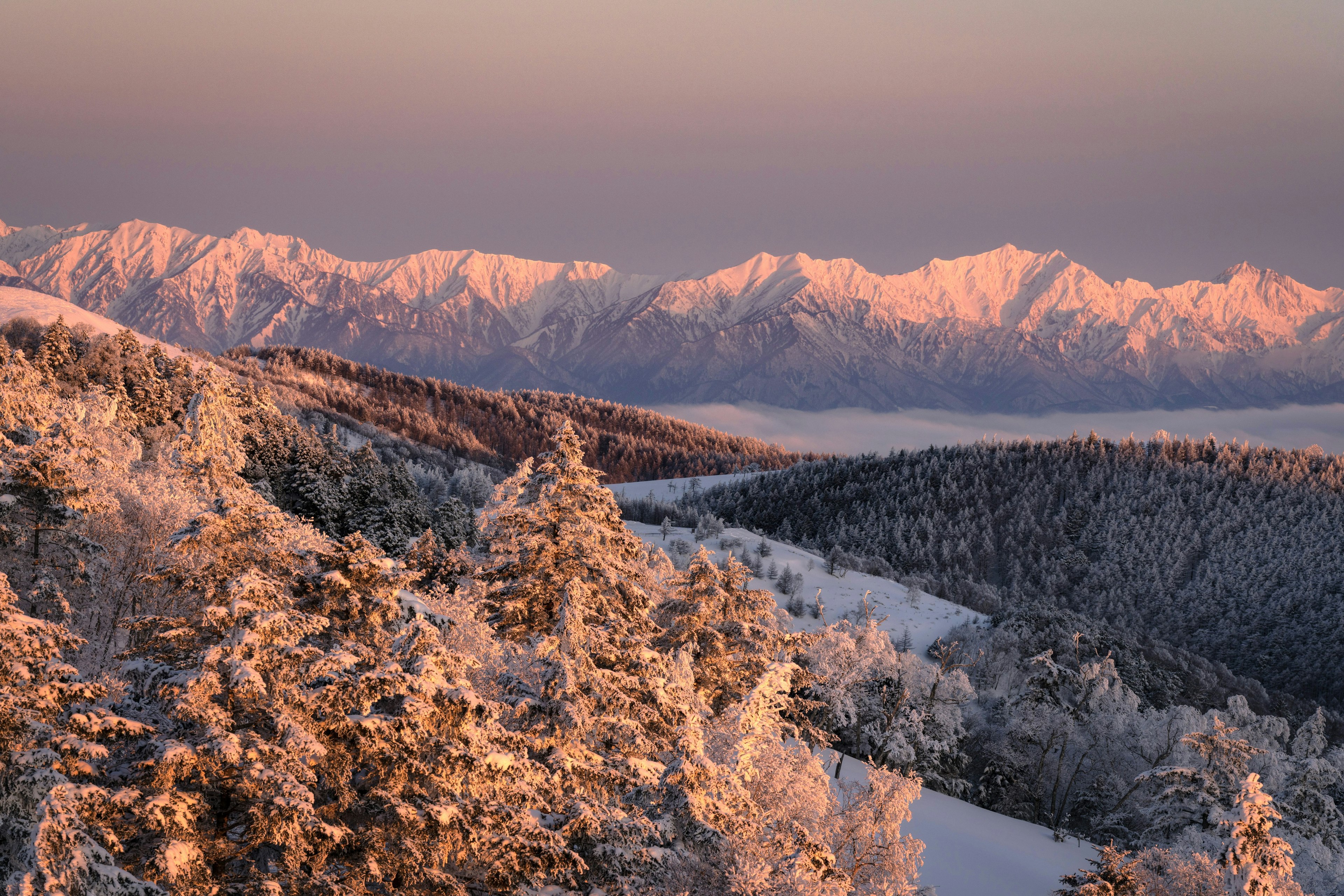 Paisaje invernal con montañas cubiertas de nieve y suave luz de la mañana