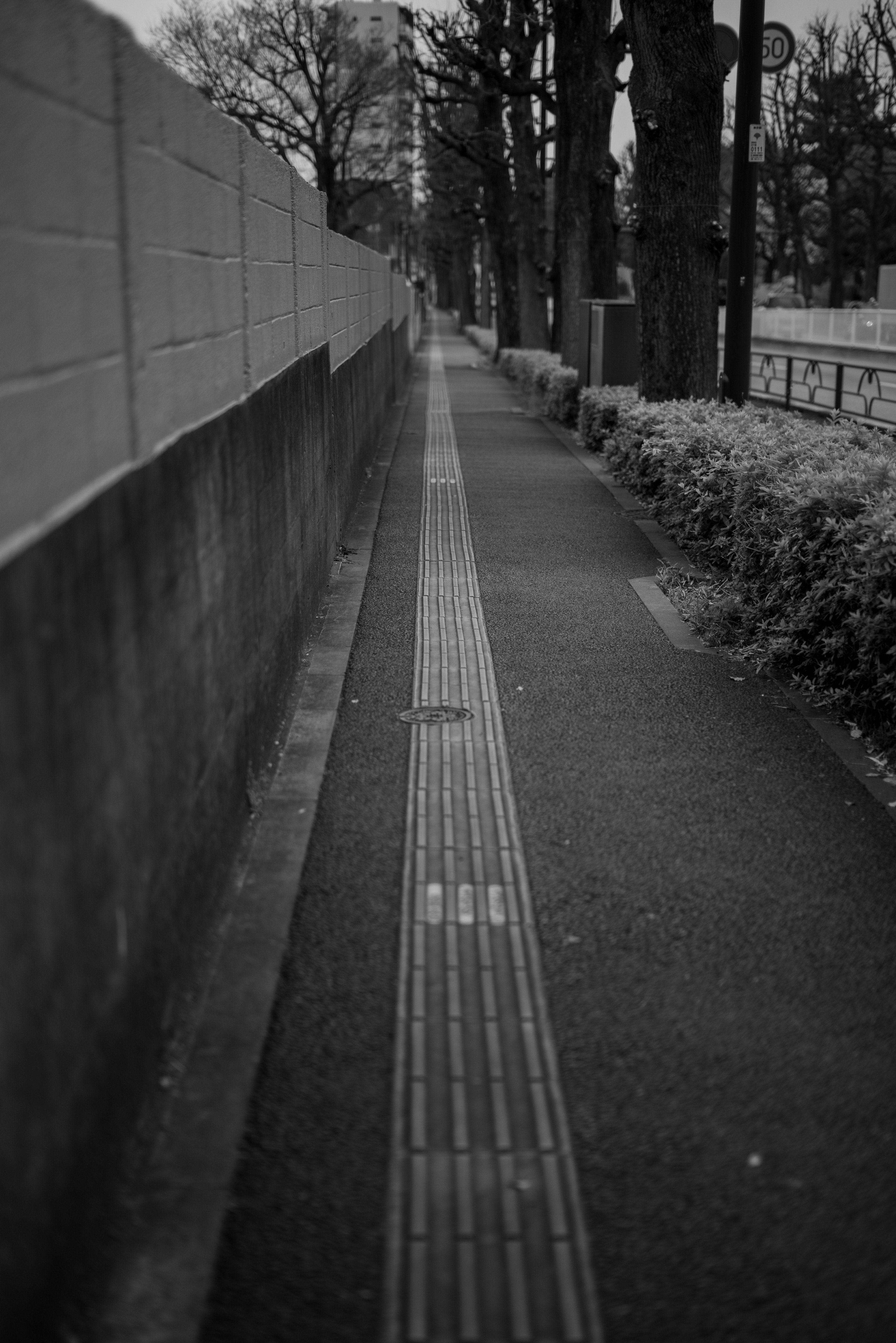 Black and white view of a sidewalk with a guiding path