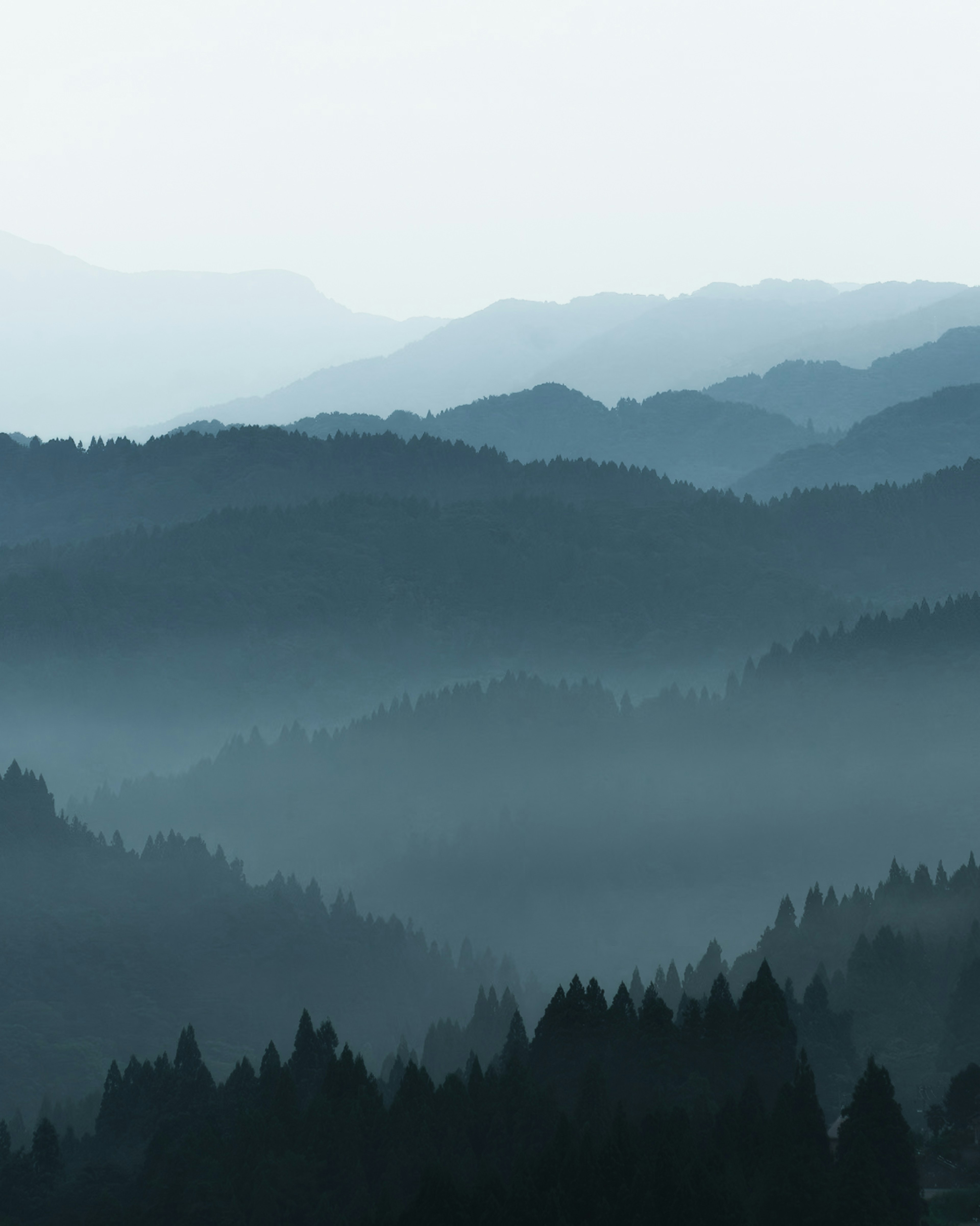 霧に包まれた青い山々の風景