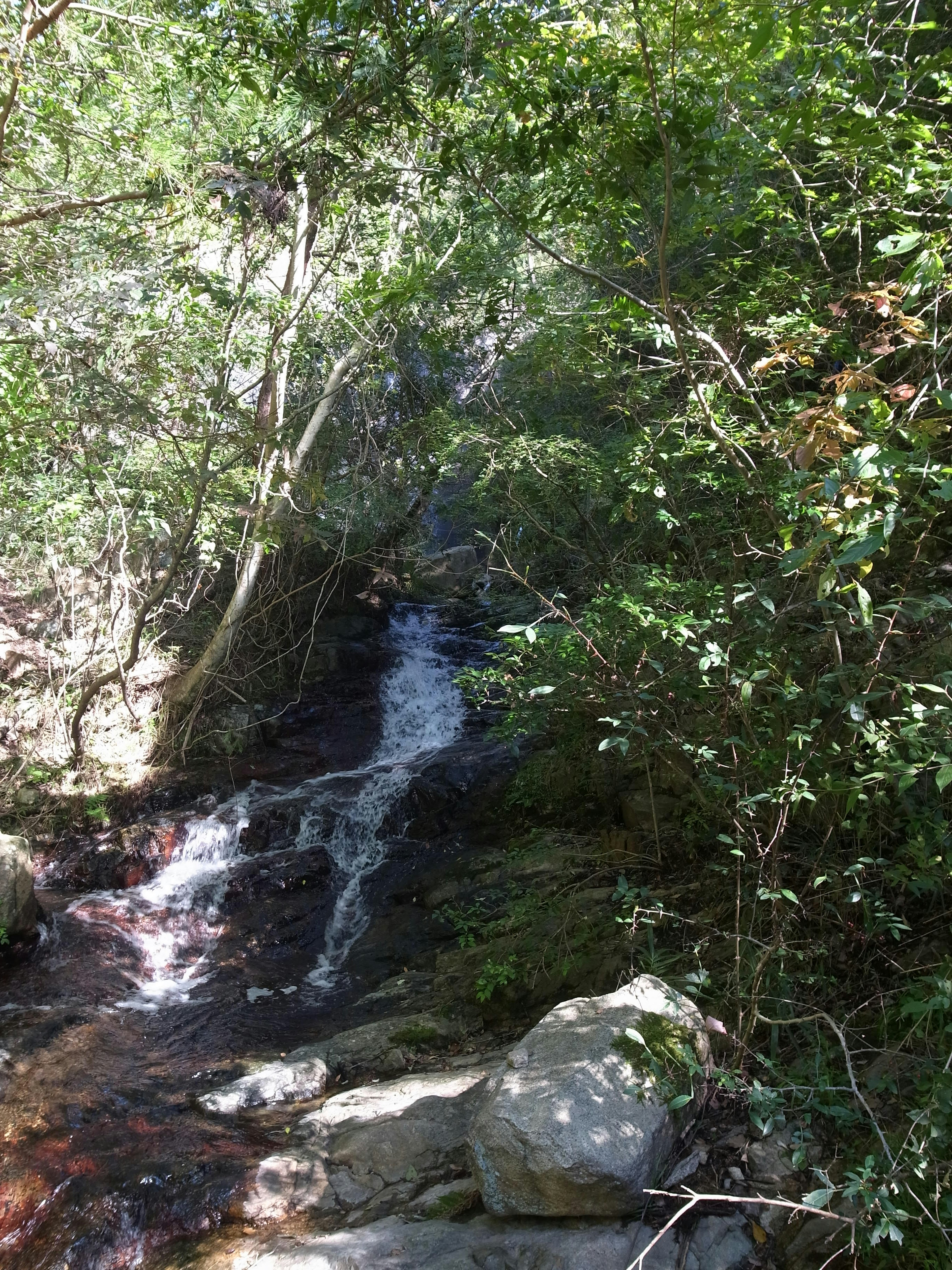 Air terjun kecil dikelilingi oleh pepohonan rimbun dan batu