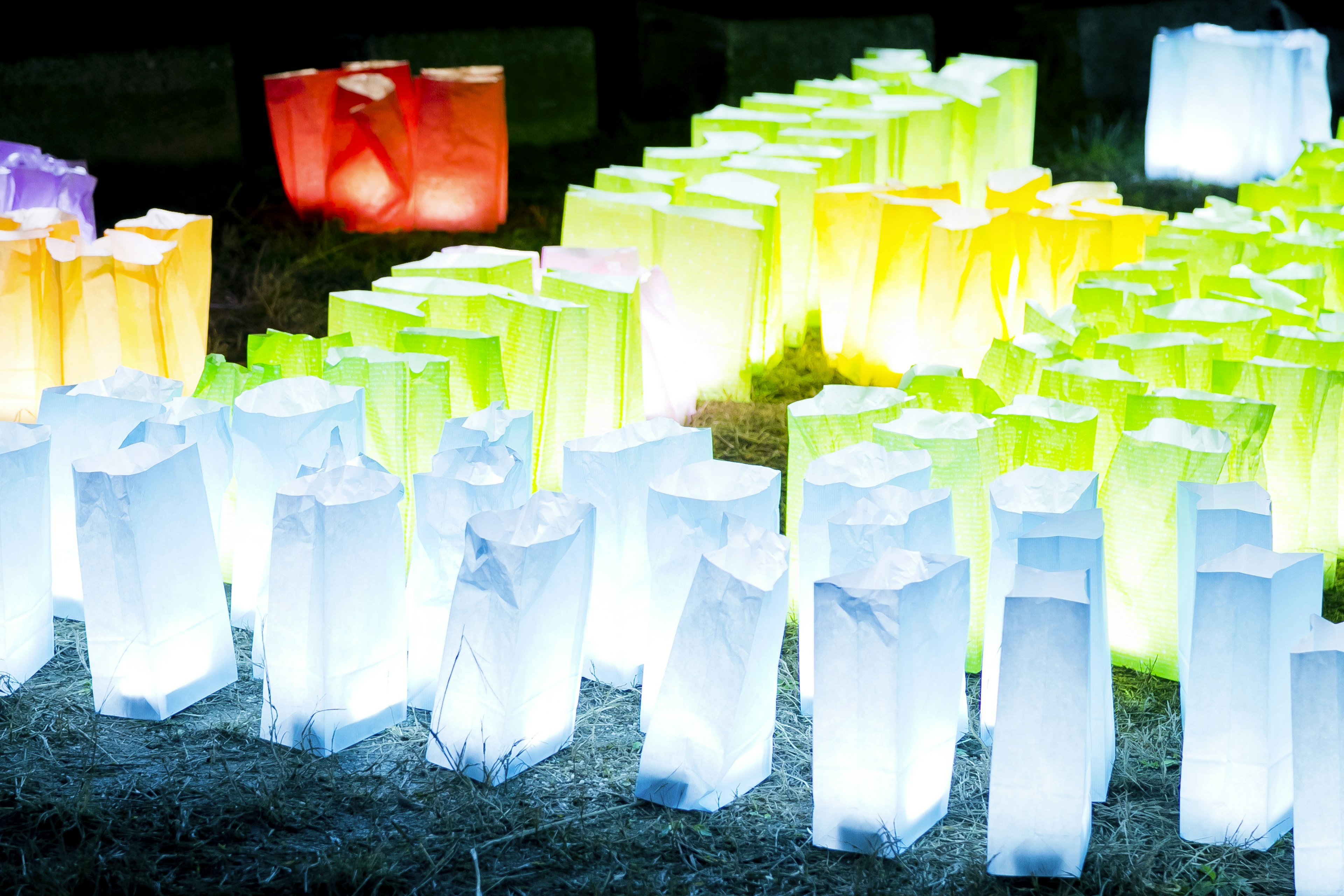 Des blocs de glace colorés illuminés disposés dans un paysage magnifique