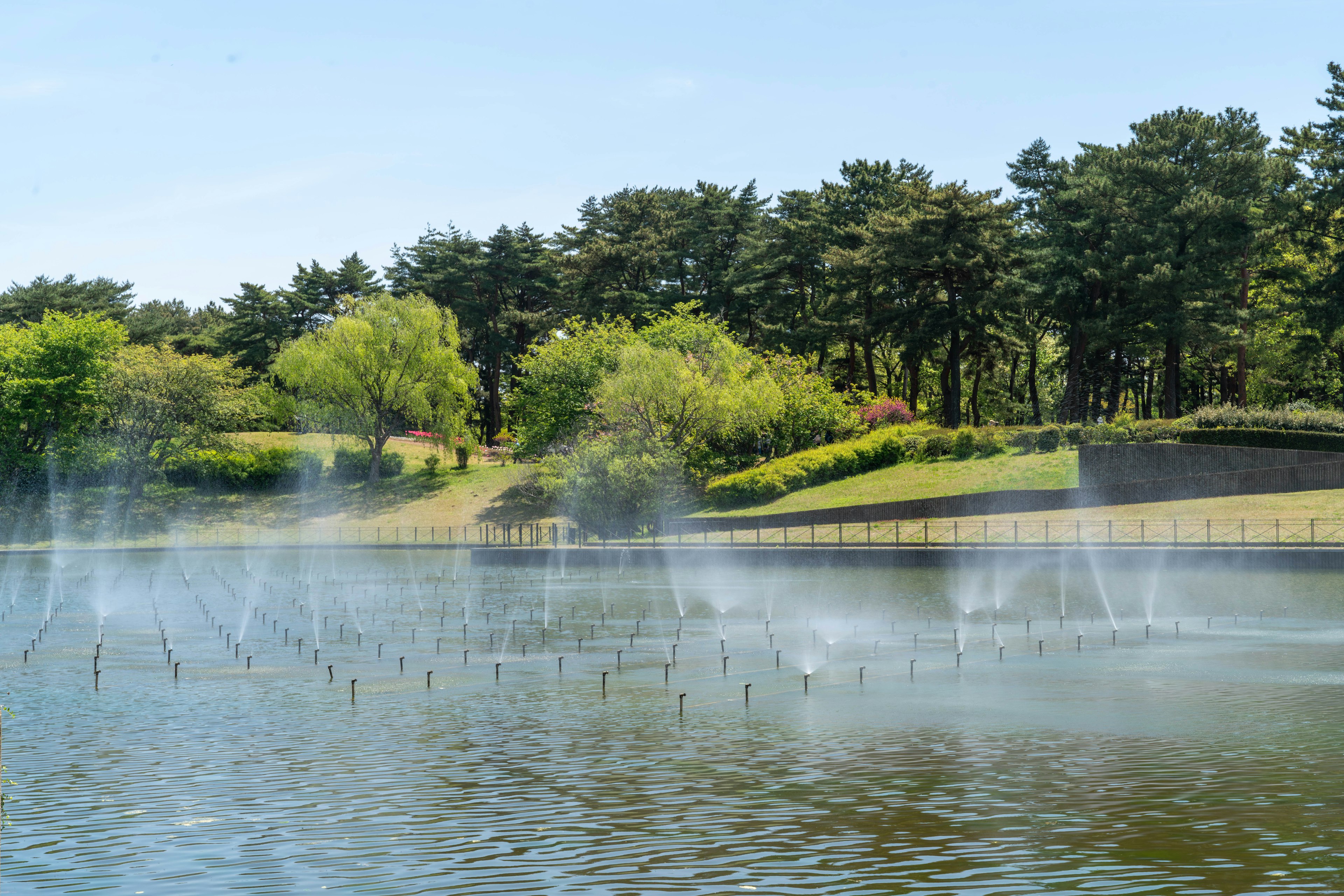 A scenic view of a pond with fountains under a blue sky surrounded by lush greenery