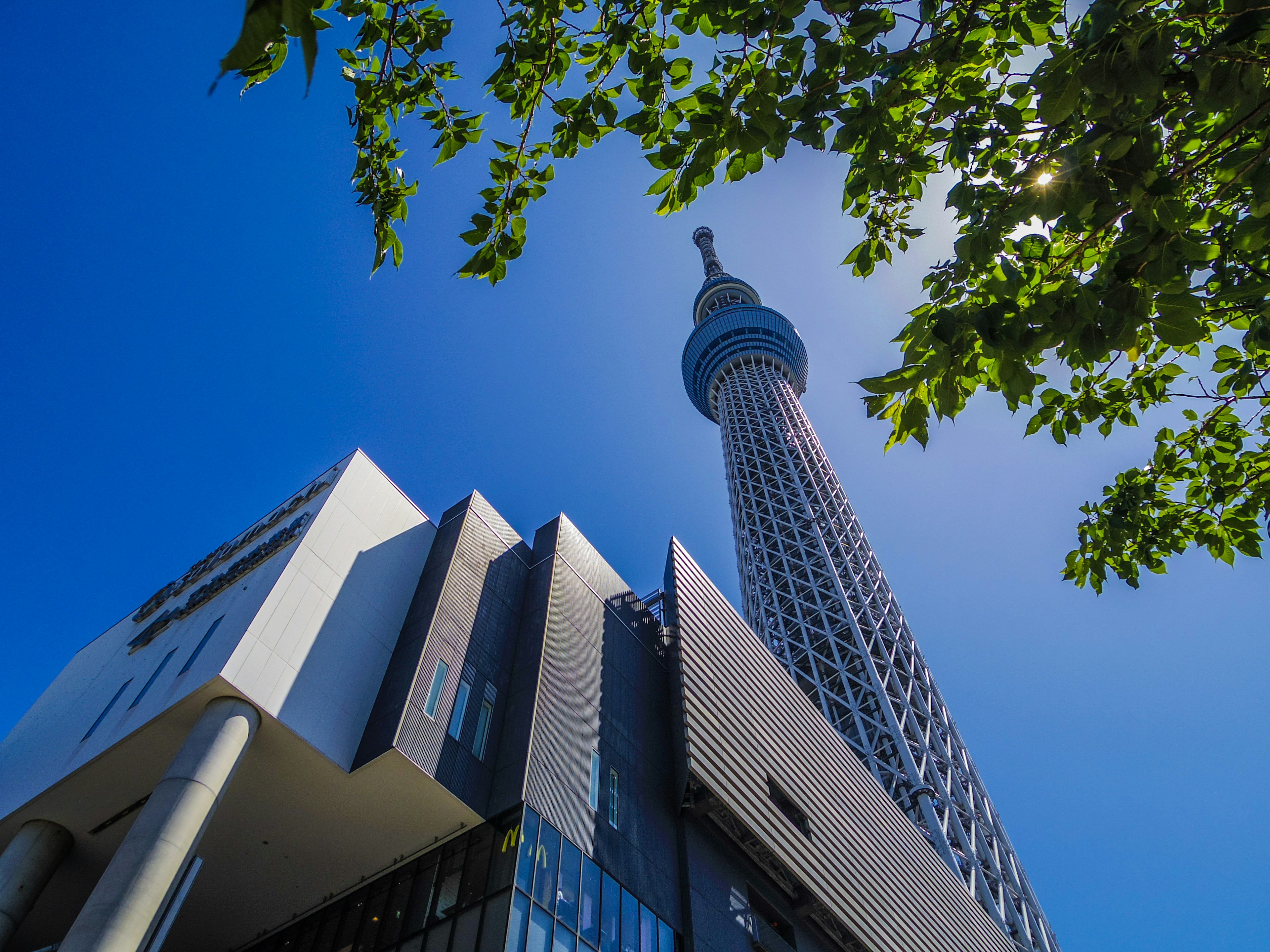 Vista de la Tokyo Skytree elevándose sobre una arquitectura moderna y un cielo azul