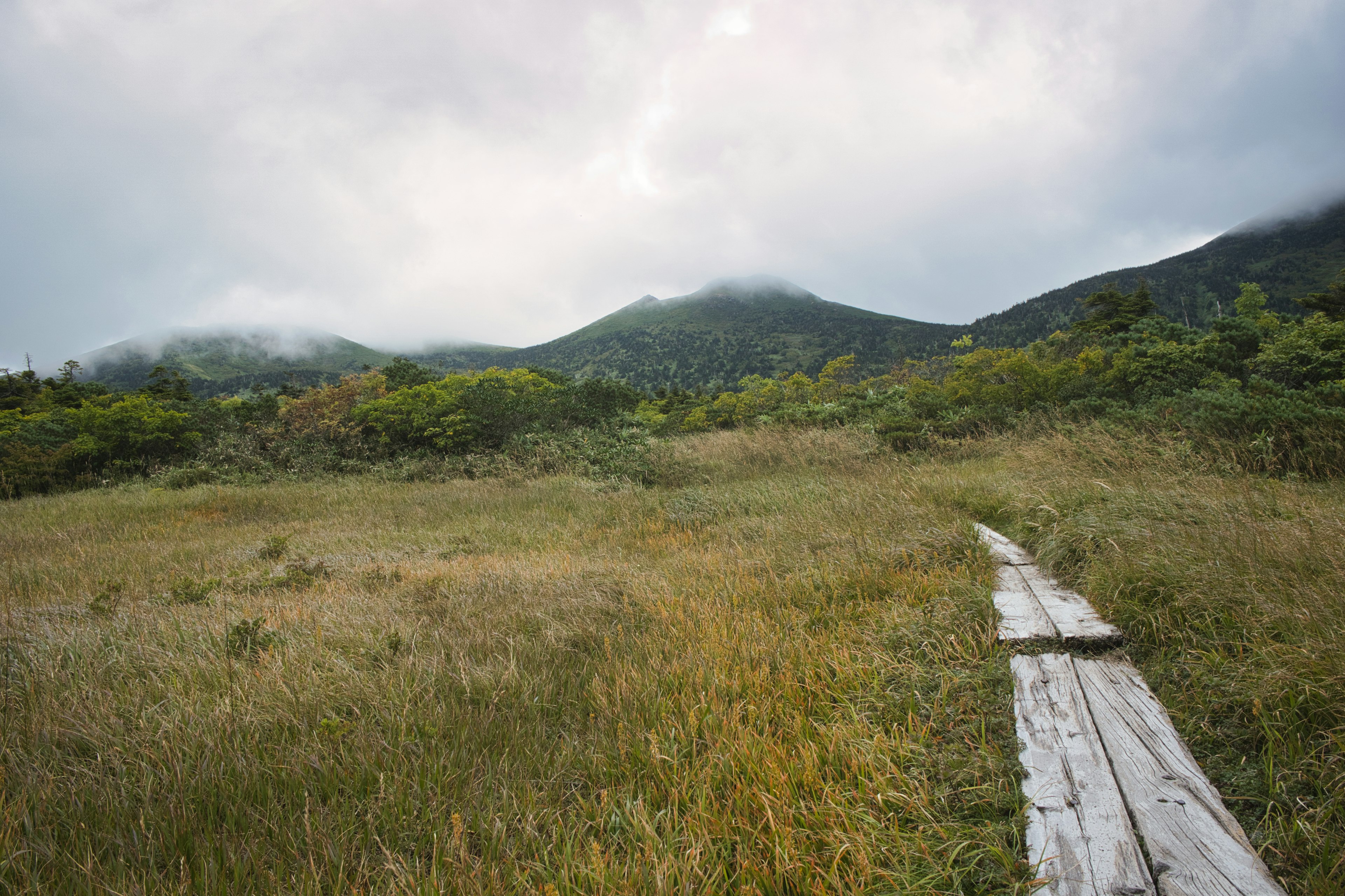 A grassy landscape with wooden path leading through green hills shrouded in mist