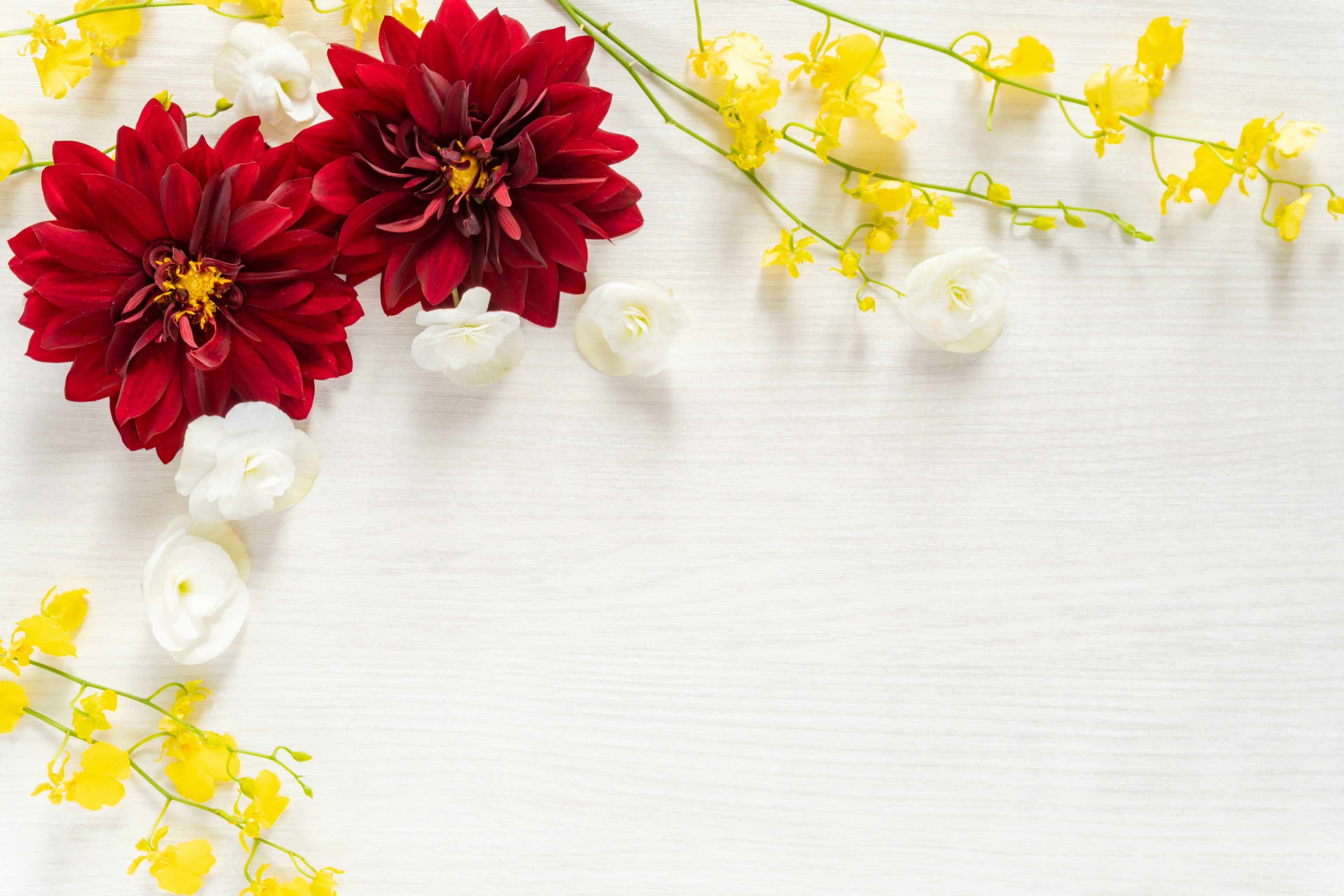 Arrangement magnifique de fleurs rouges et jaunes sur un fond blanc