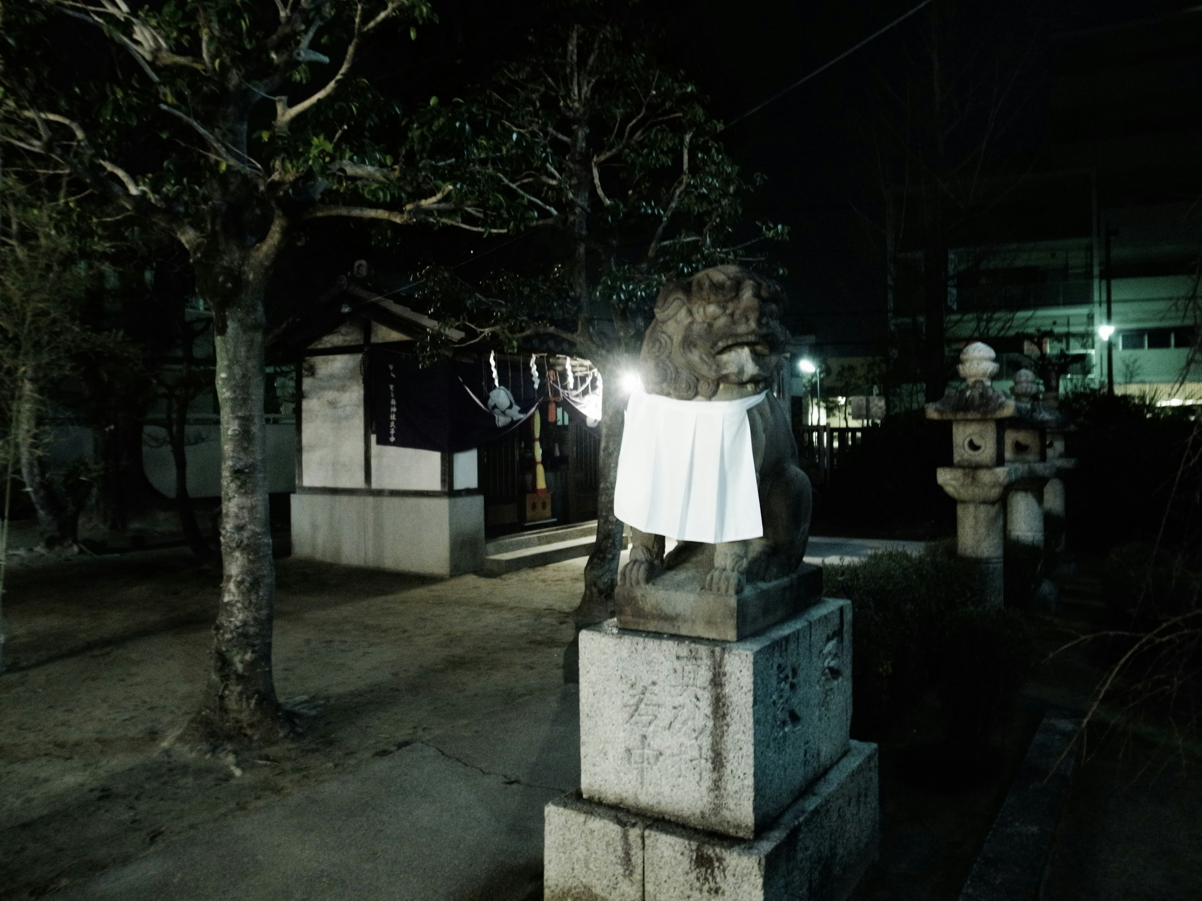 夜間公園場景中的石像被白布覆蓋，周圍有樹木