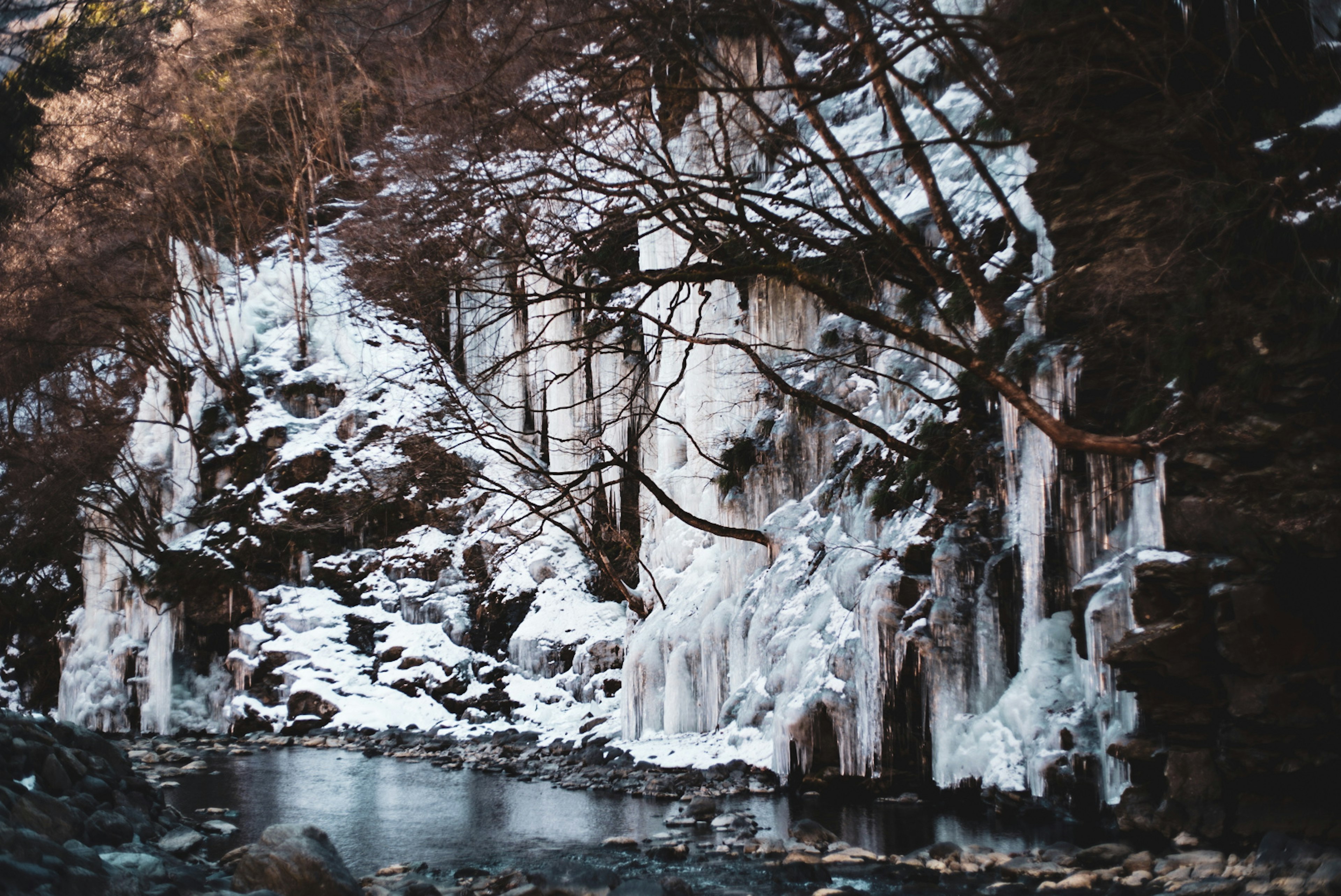 A serene riverside scene featuring a snowy rock wall and ice formations