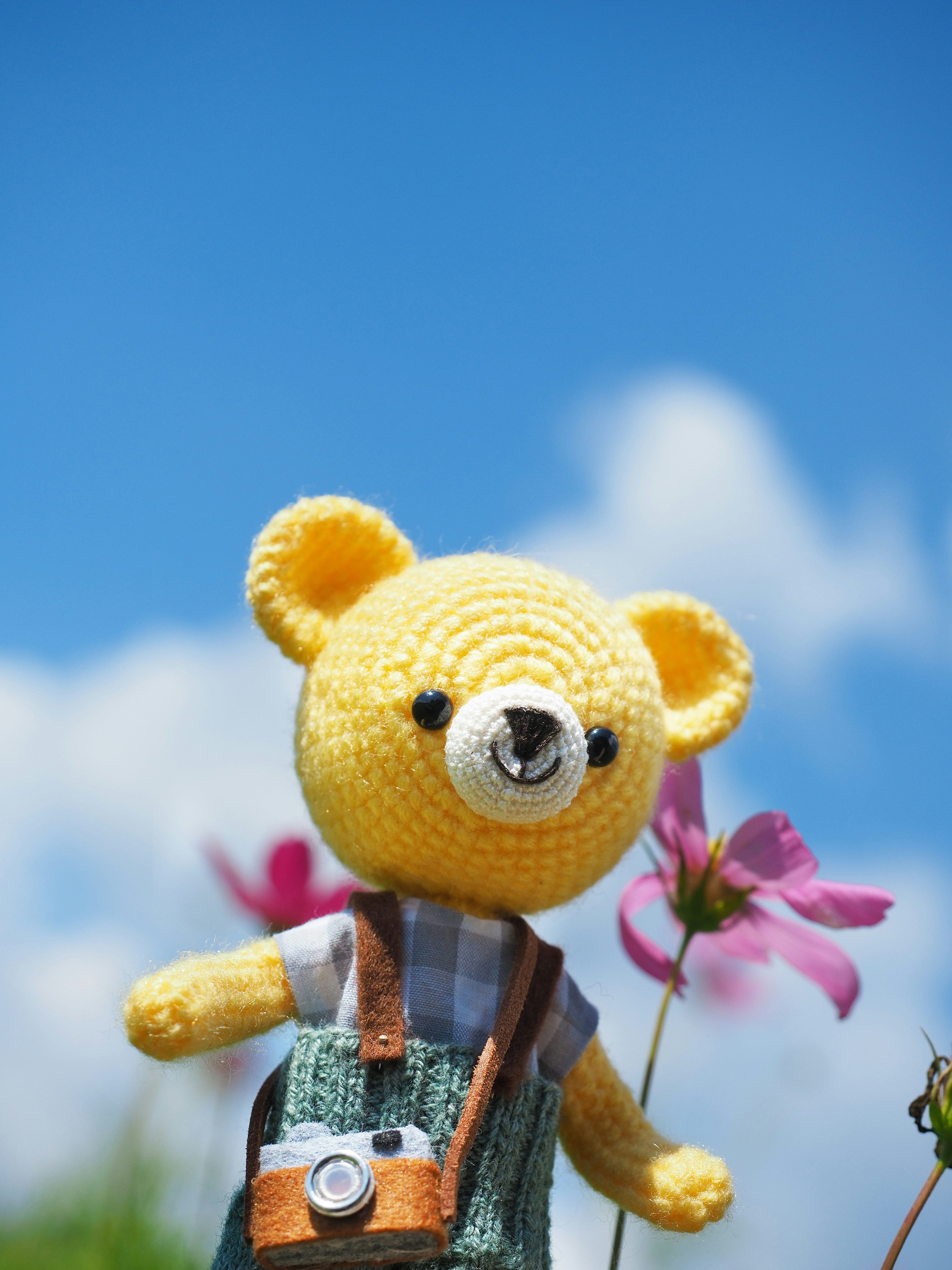 A yellow teddy bear plush holding a camera with flowers and blue sky background