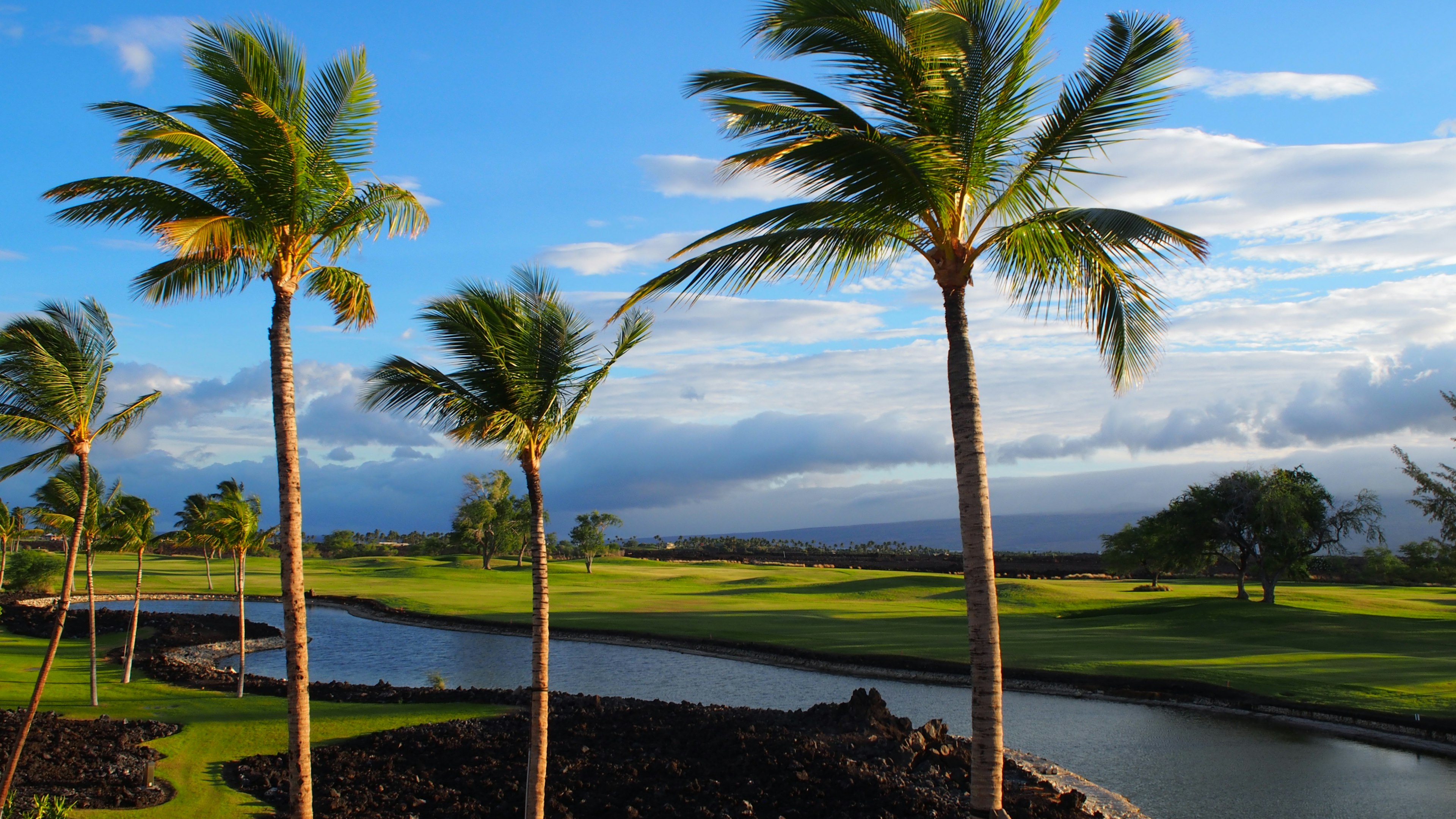 Pemandangan lapangan golf dengan pohon palem dan langit biru