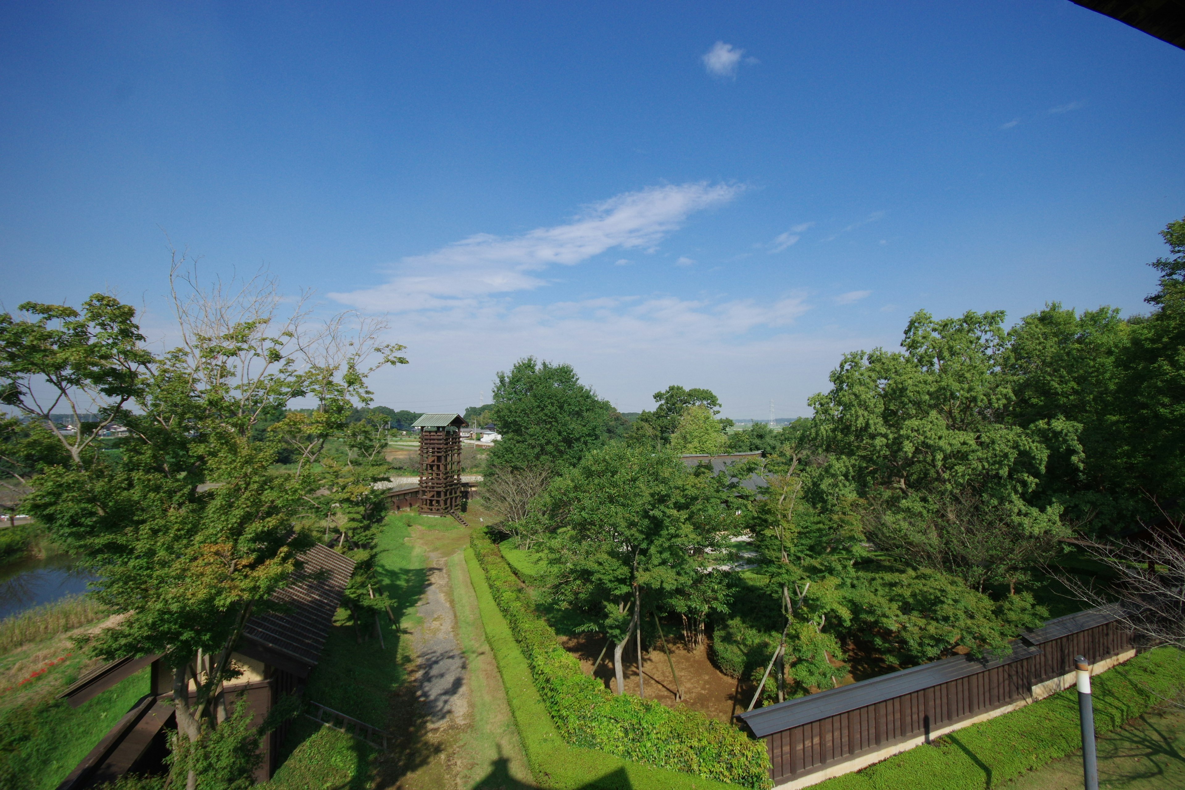 Pemandangan tenang dengan langit biru dan pepohonan hijau subur