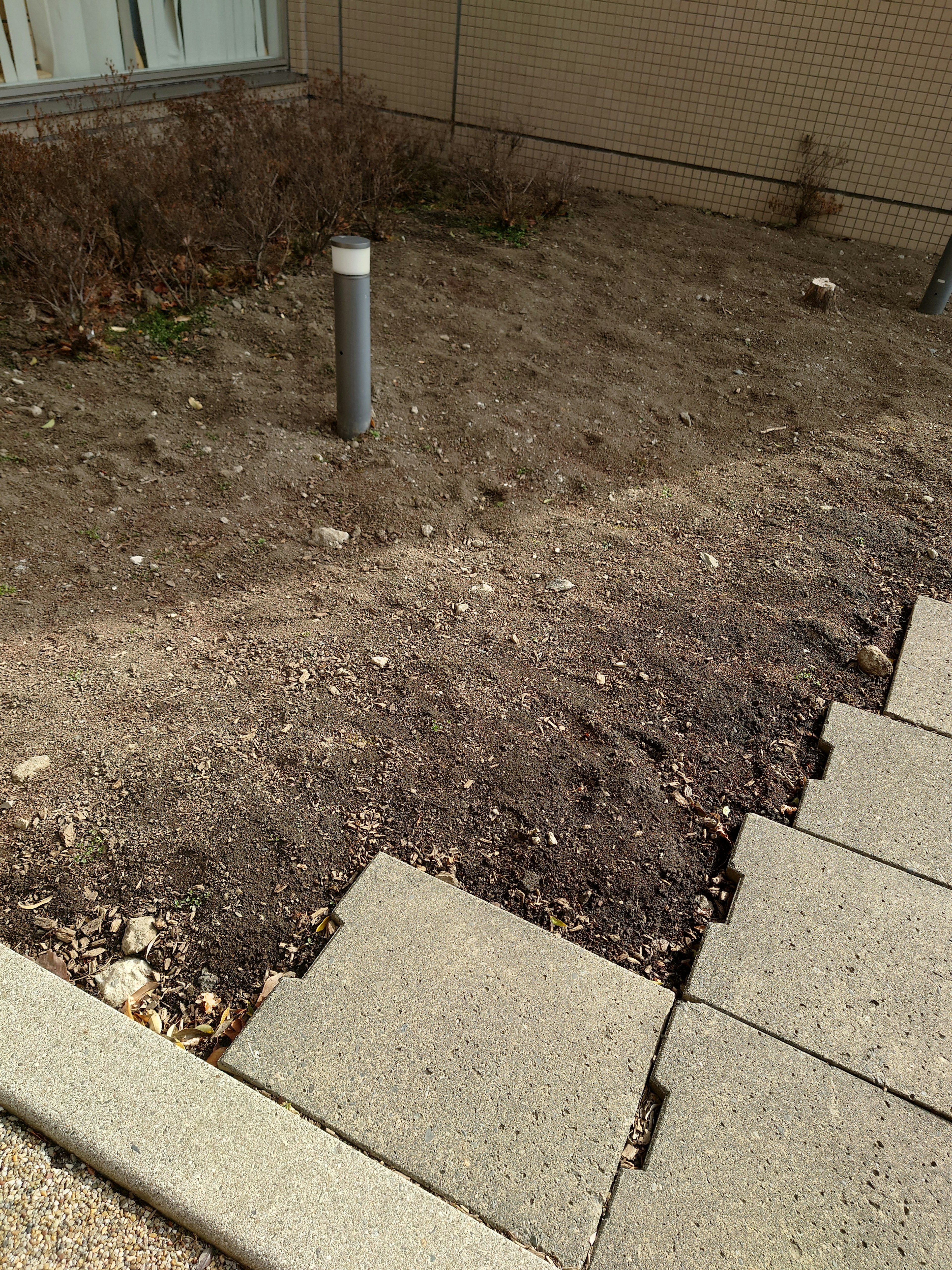 A landscape featuring a dirt area and a concrete walkway