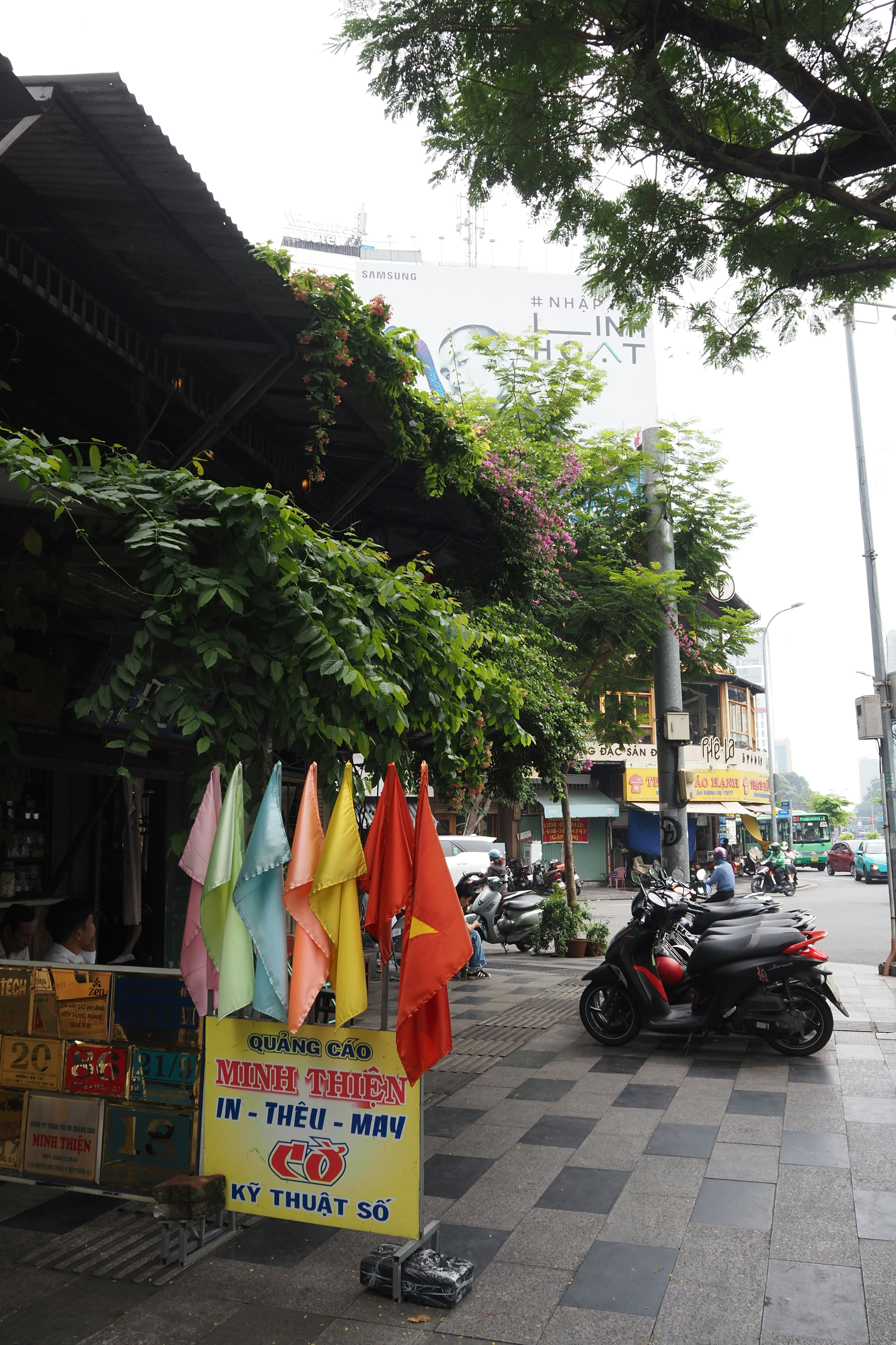 Vista de la calle con banderas coloridas y vegetación exuberante