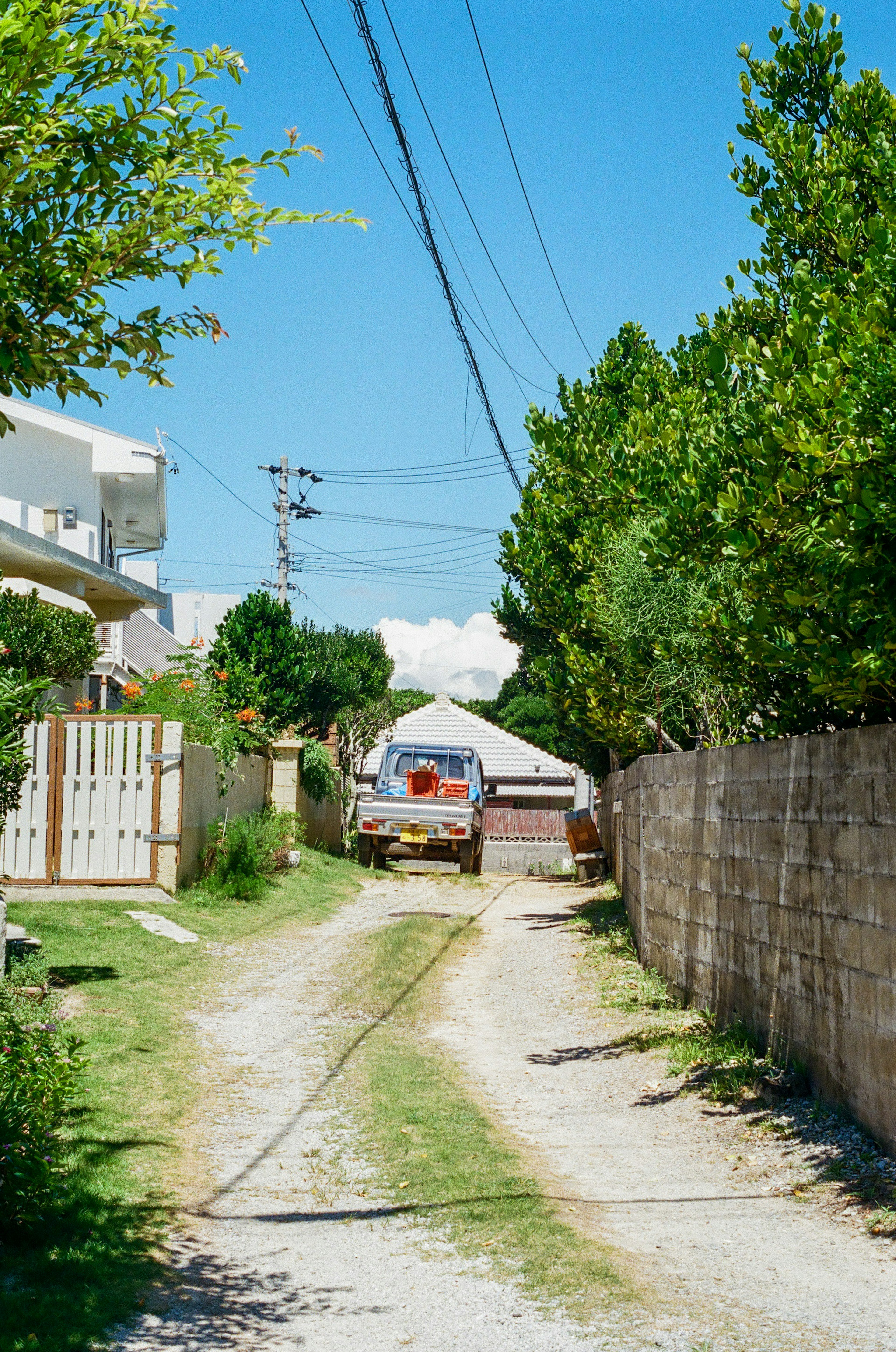 Sendero estrecho flanqueado por árboles y casas bajo un cielo azul claro