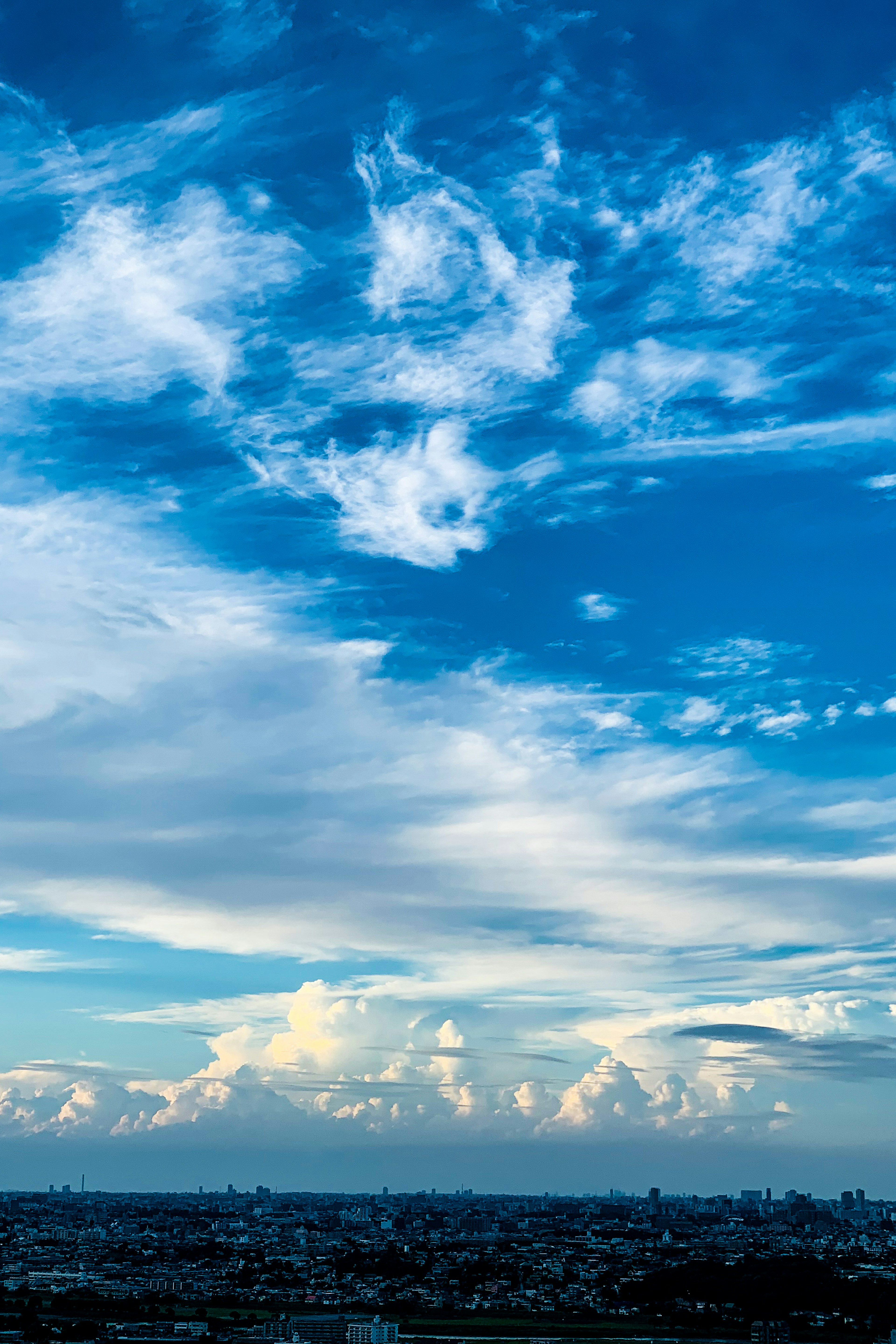 青空と白い雲が広がる風景