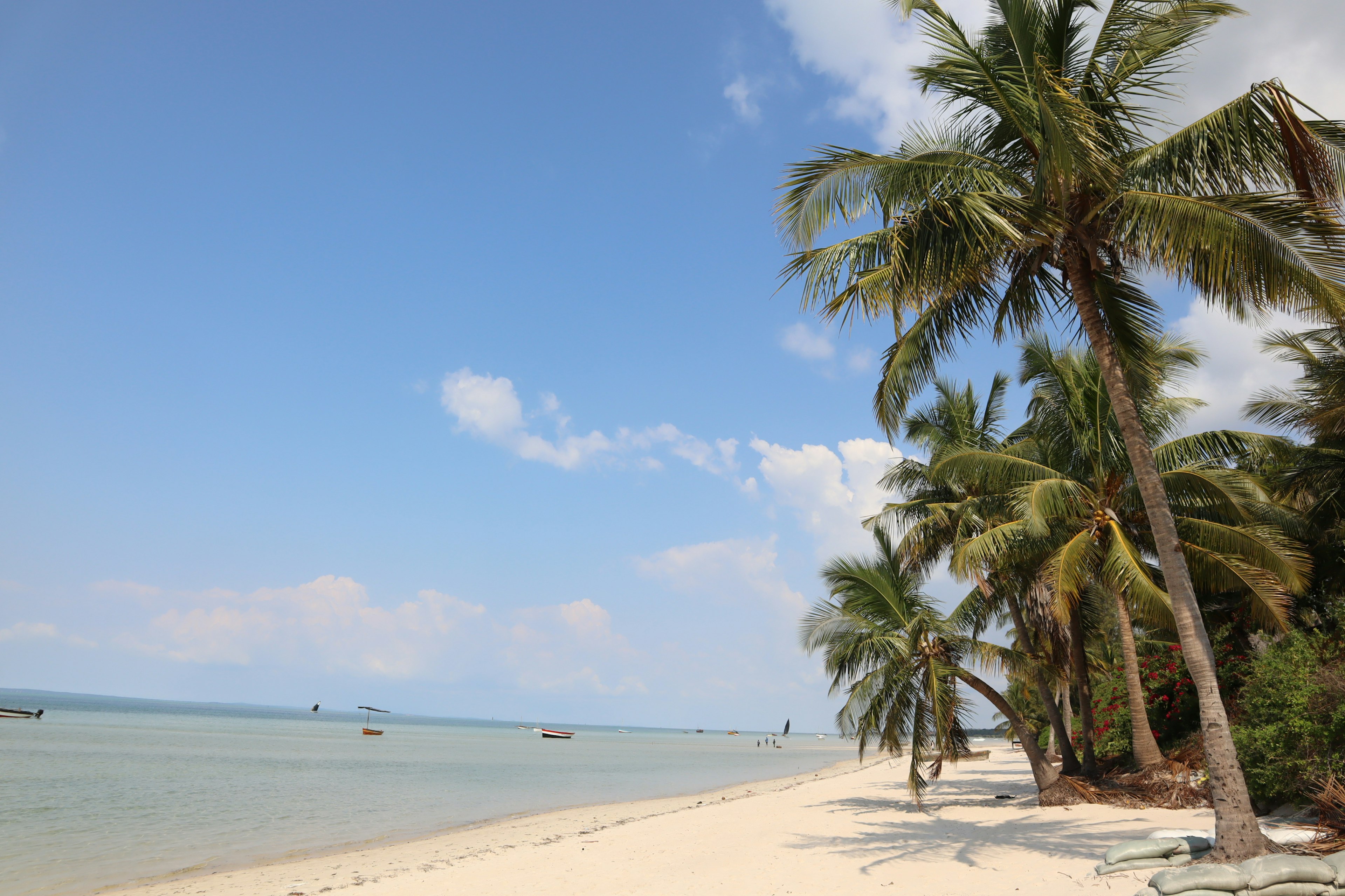 ทิวทัศน์ที่สวยงามของชายหาดรีสอร์ทที่มีทรายขาวและทะเลสีฟ้า