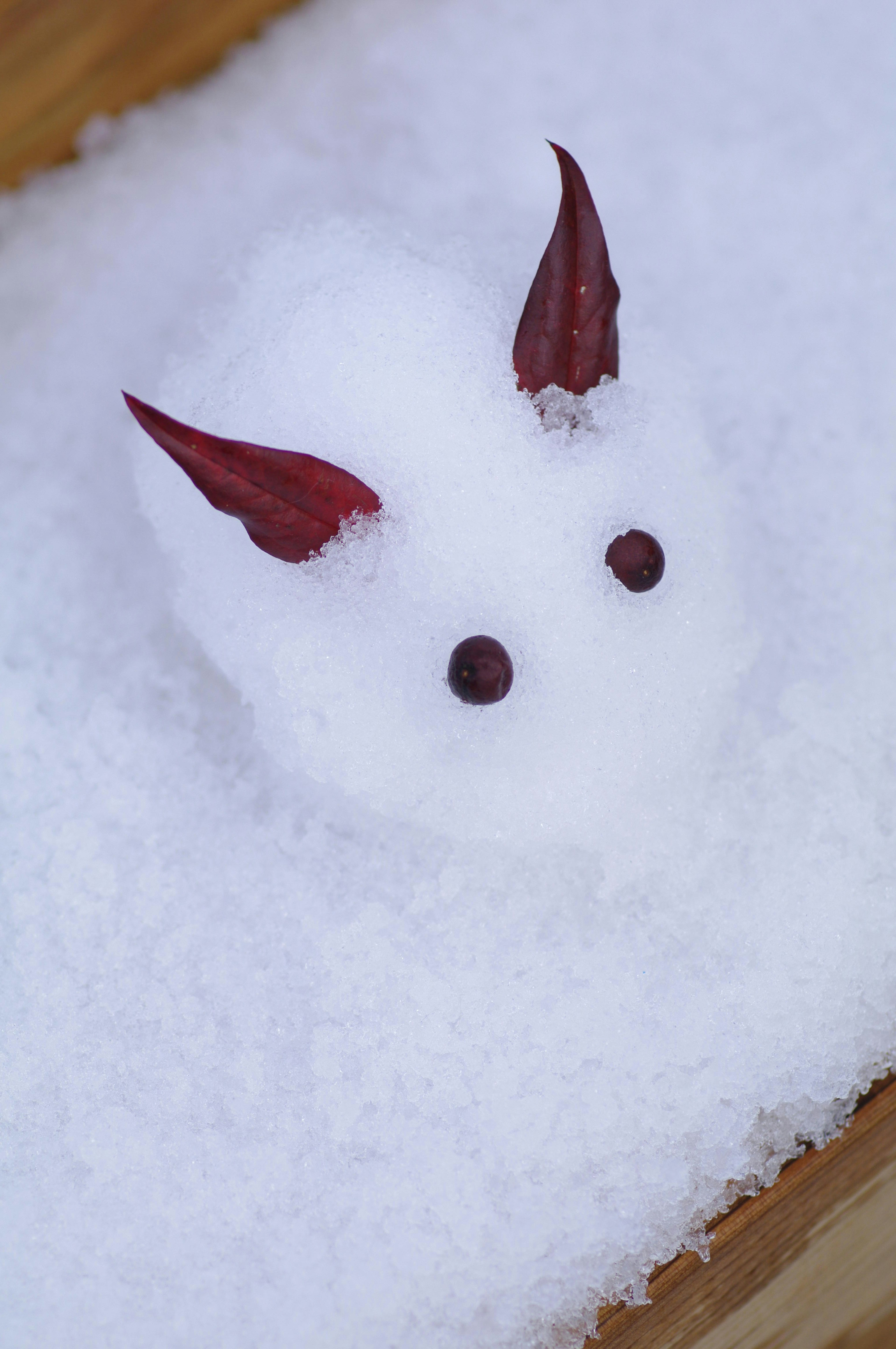 Une petite créature de neige sur la neige avec des cornes en feuille rouge et des yeux noirs