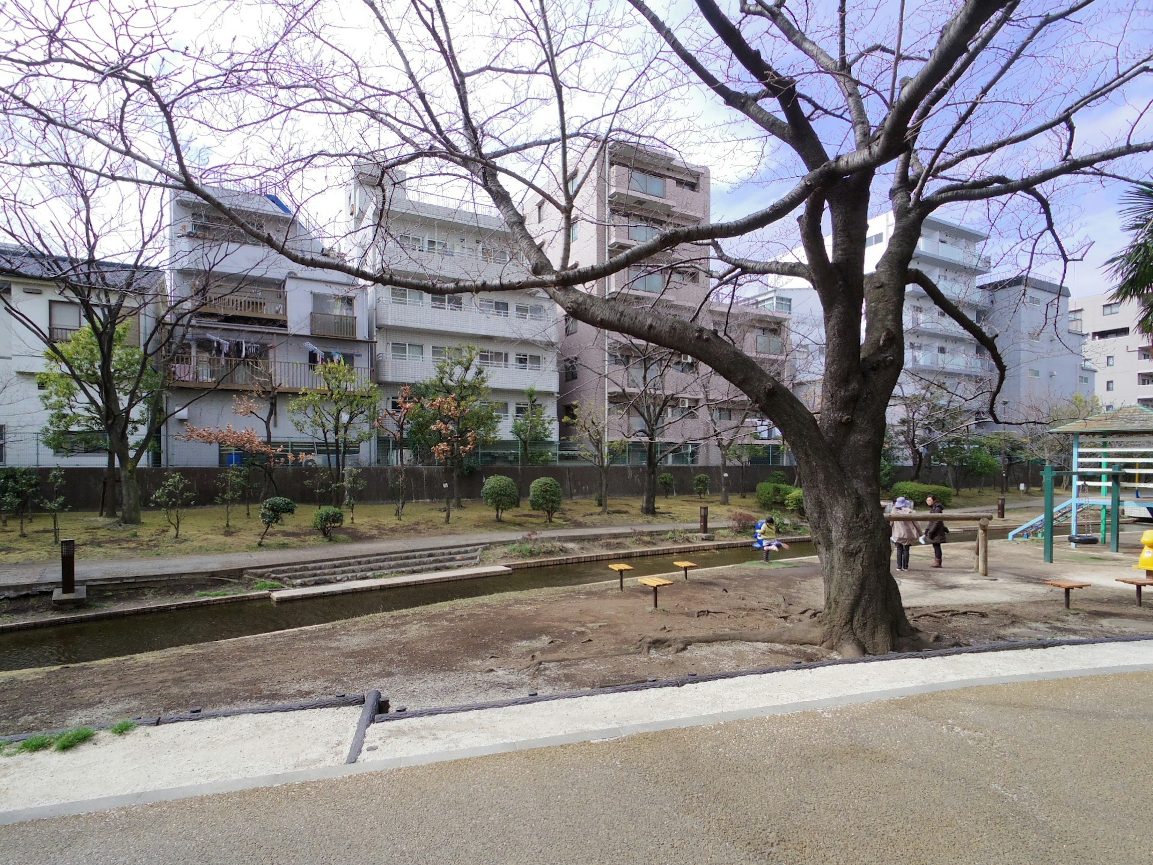 Área del parque con un gran árbol y edificios circundantes y equipos de juego