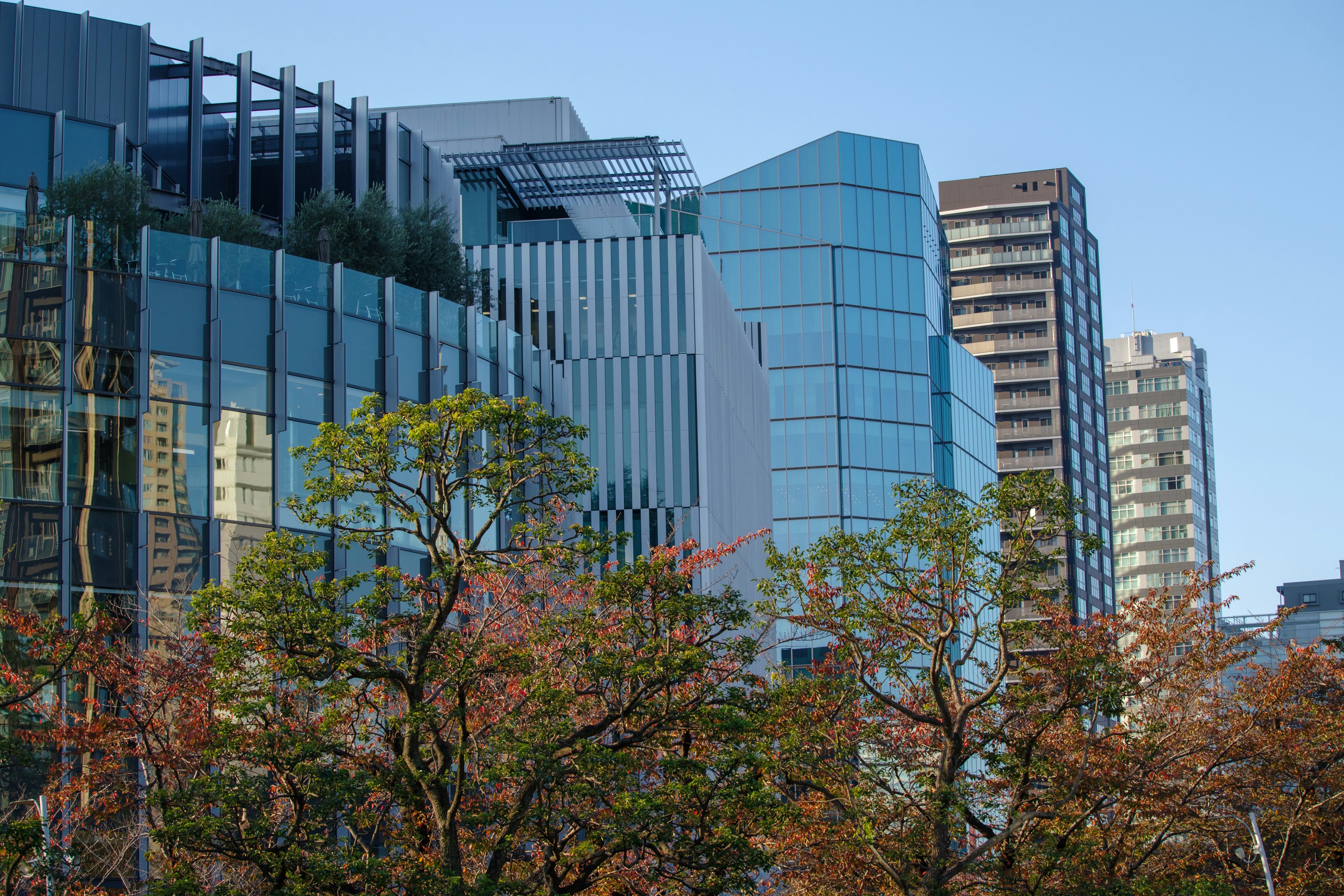 Paisaje urbano con edificios modernos y árboles de otoño