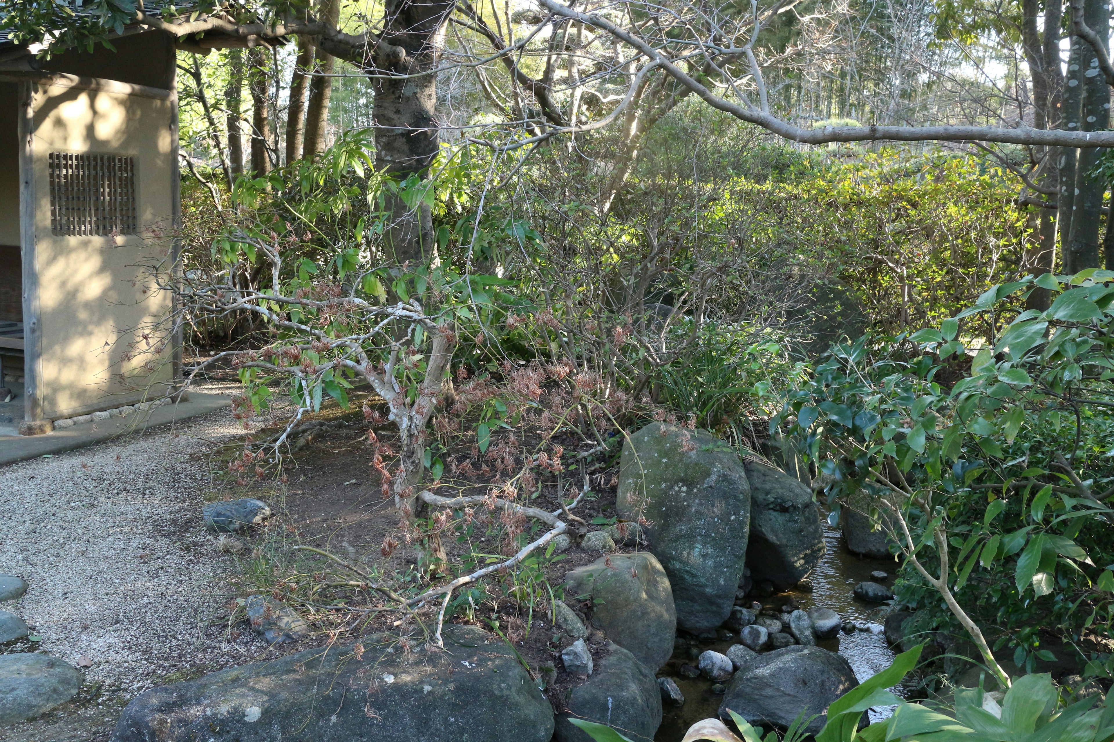 自然の中にある小川と石のある風景