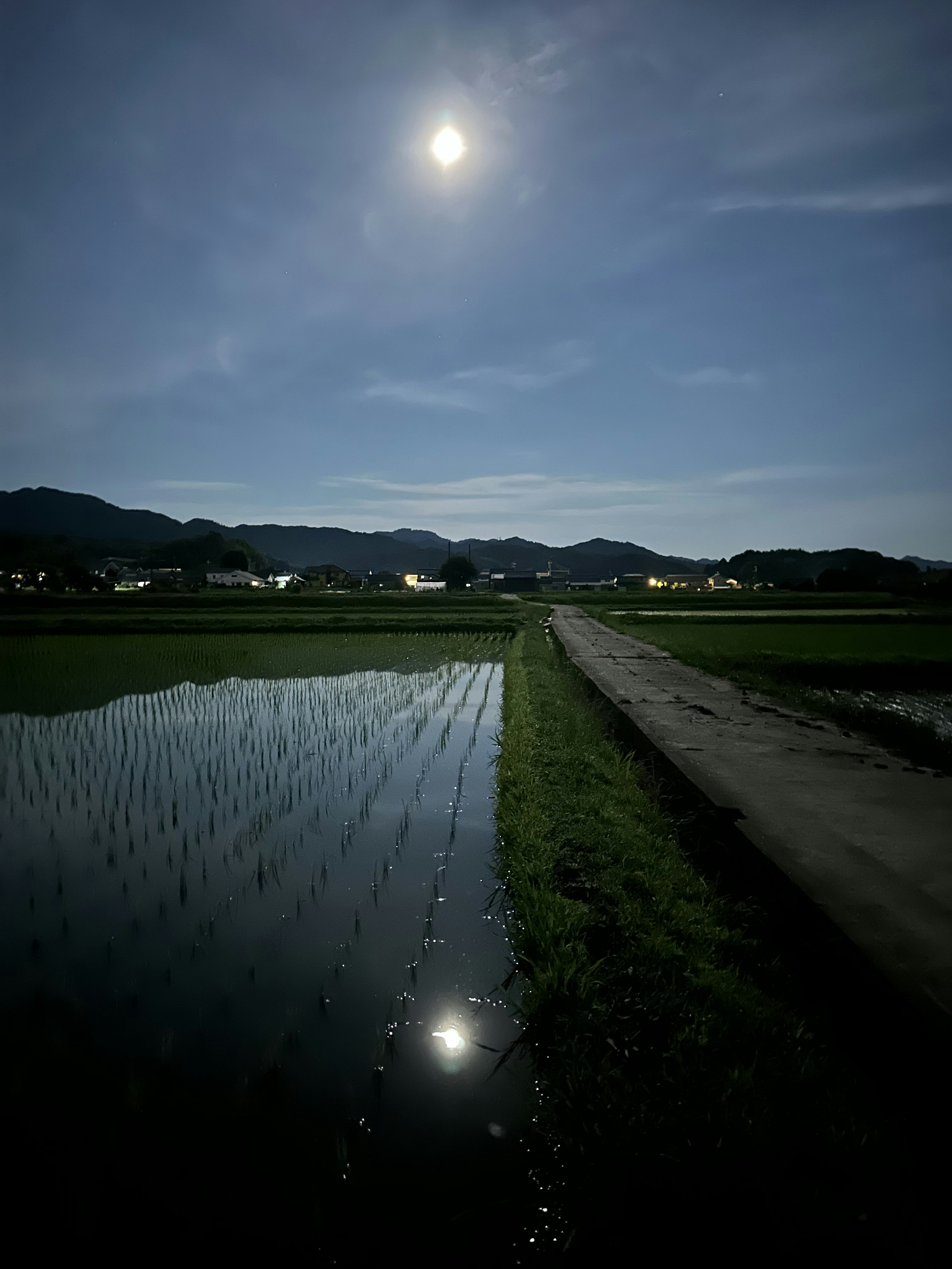 Pemandangan sawah dan jalan yang diterangi cahaya bulan