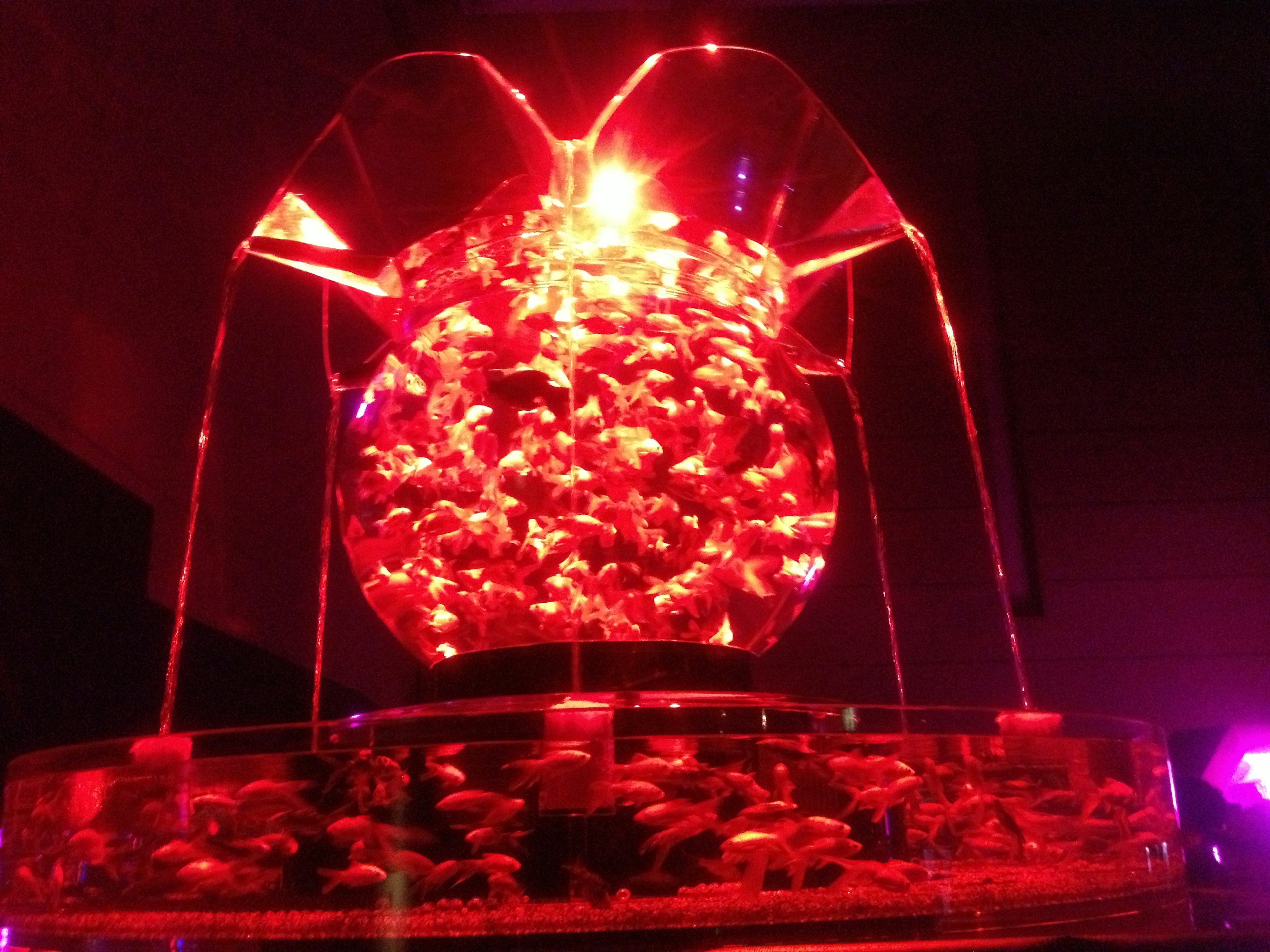 Aquarium with fish and fountain design illuminated by red light