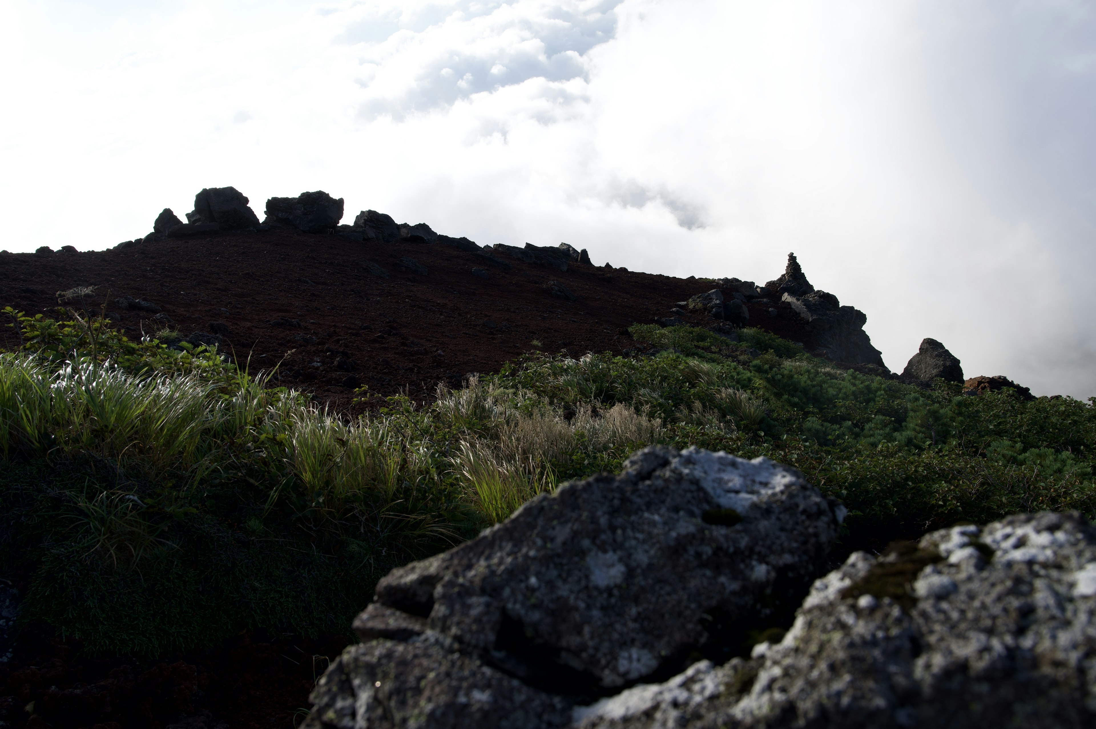 Mountain landscape featuring rocks and greenery