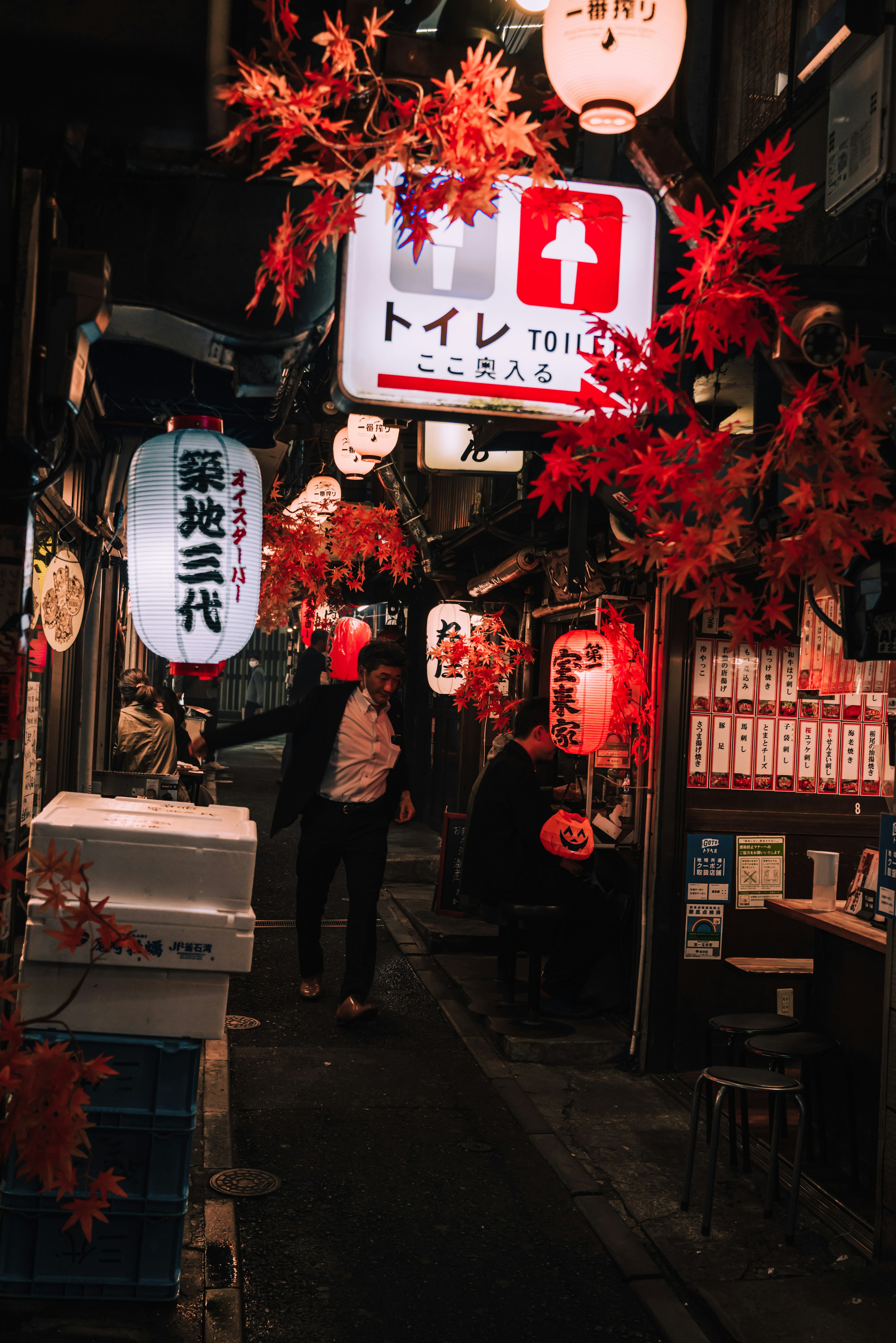 夜の日本の路地に並ぶ赤い提灯と秋の葉