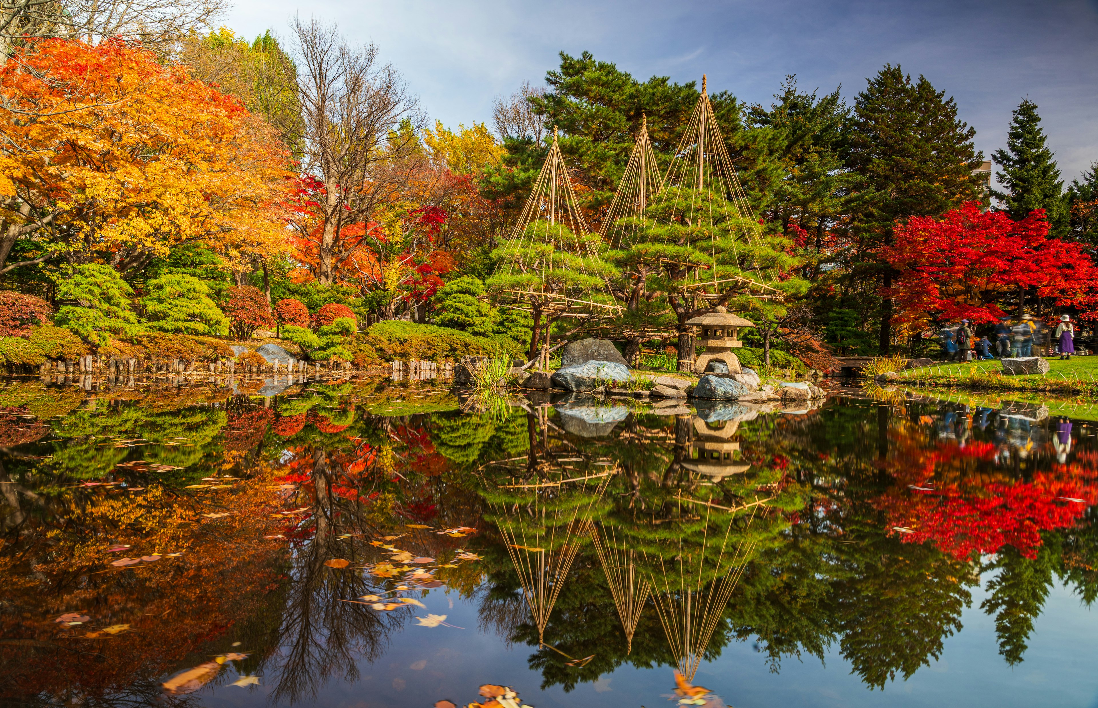 美しい紅葉が映る池と伝統的な日本庭園の景観