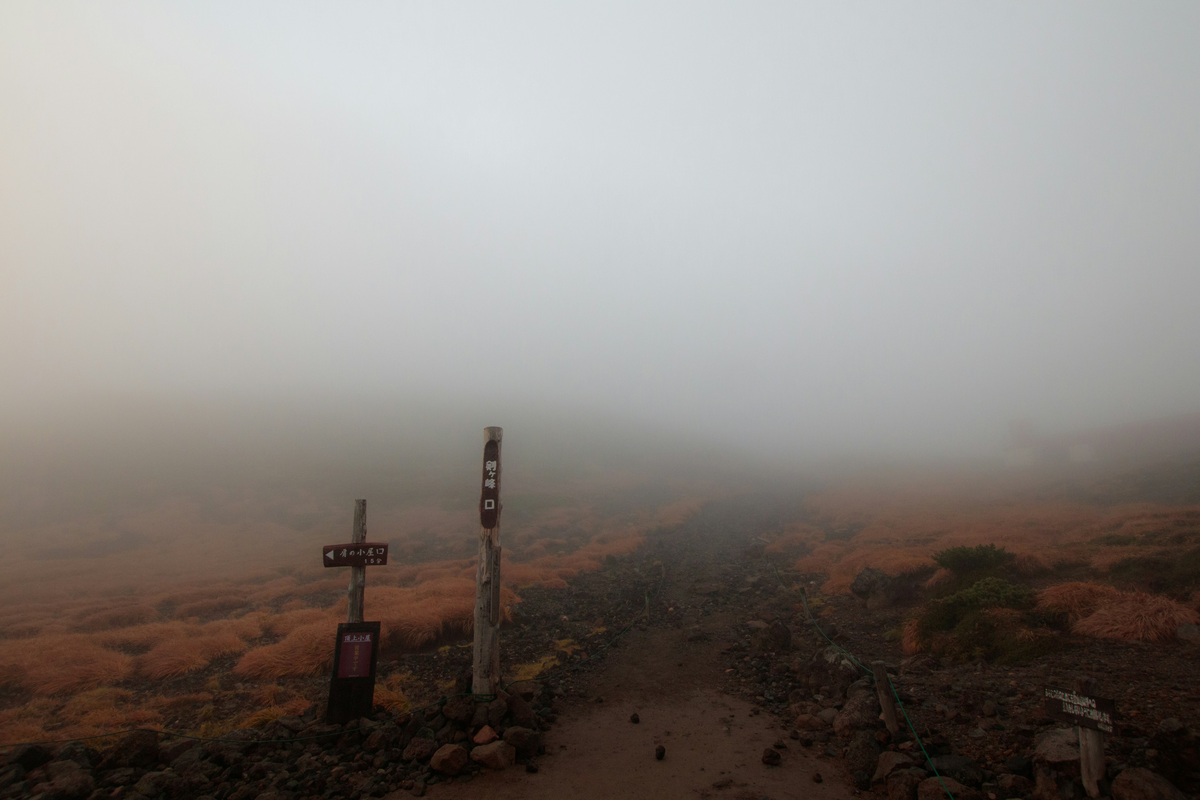 霧に包まれた道と十字架の標識がある風景