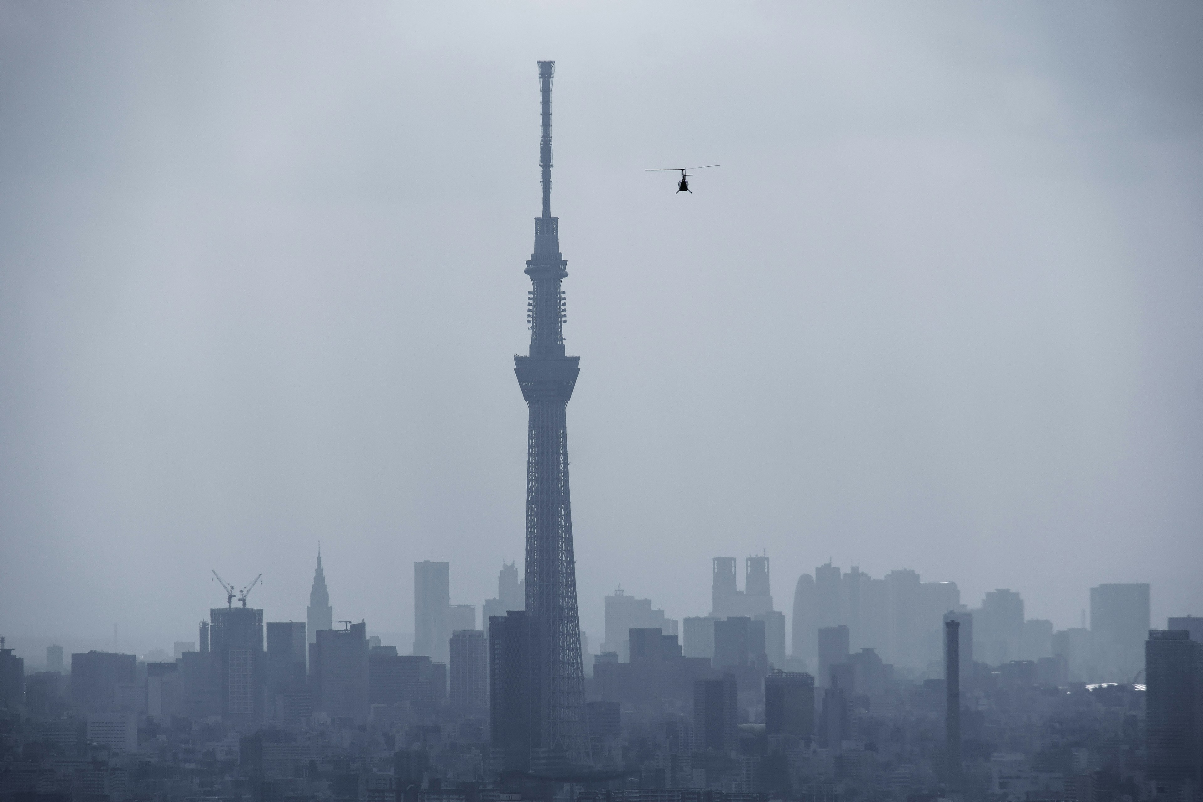 東京スカイツリーが霧の中に浮かぶ風景