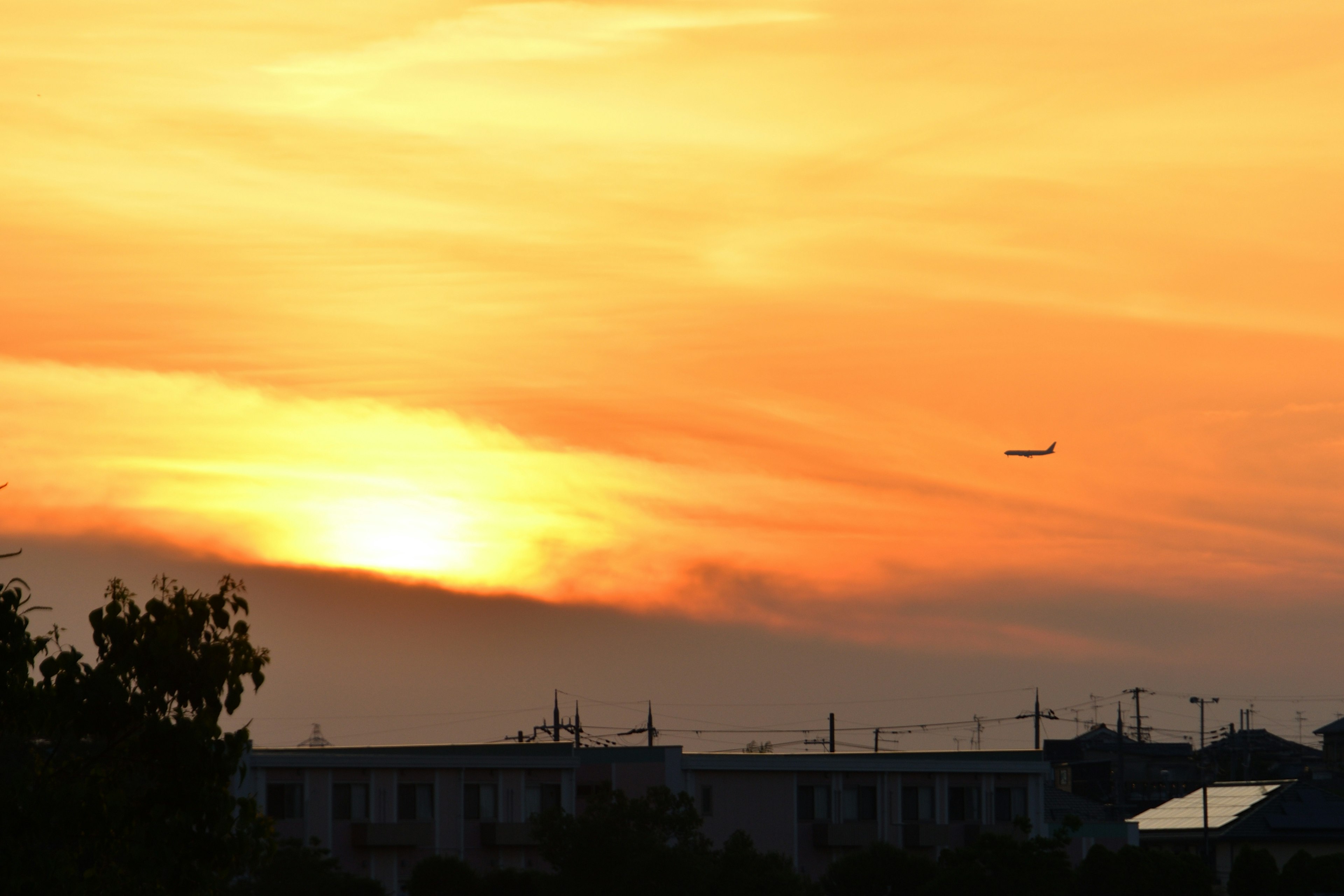 Vista del tramonto con un aereo che vola nel cielo