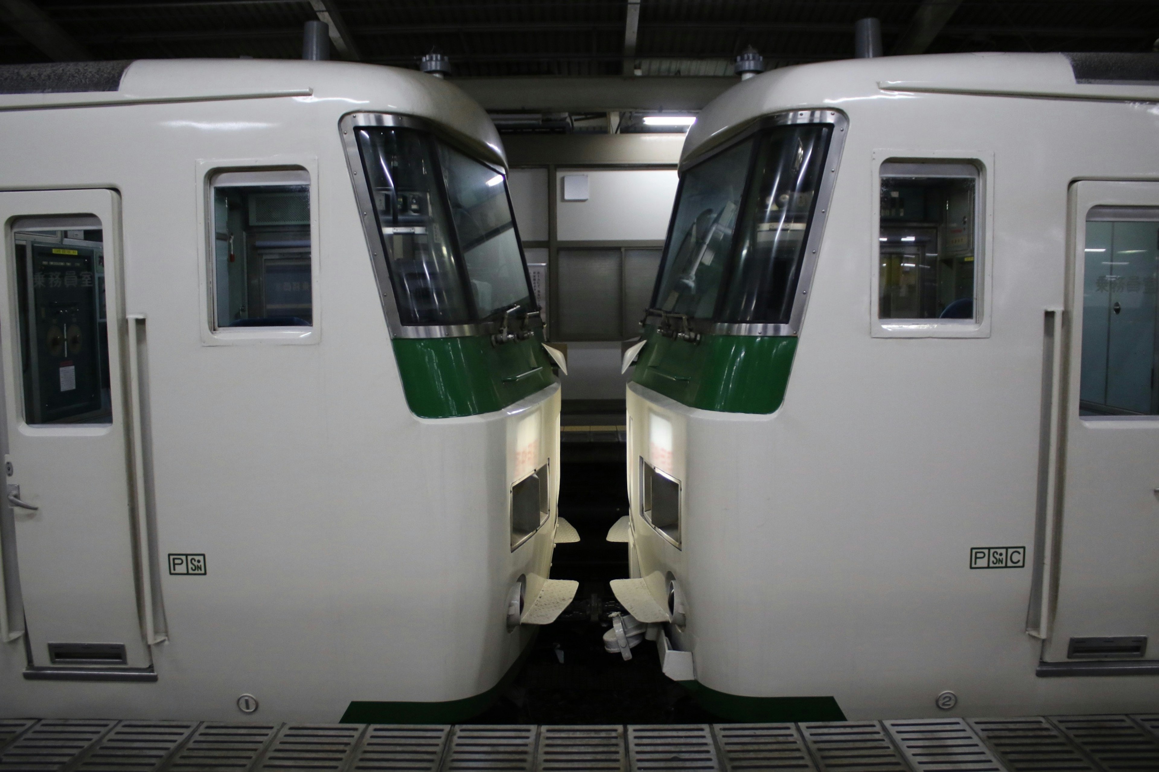 二つの電車が向かい合っている駅の風景