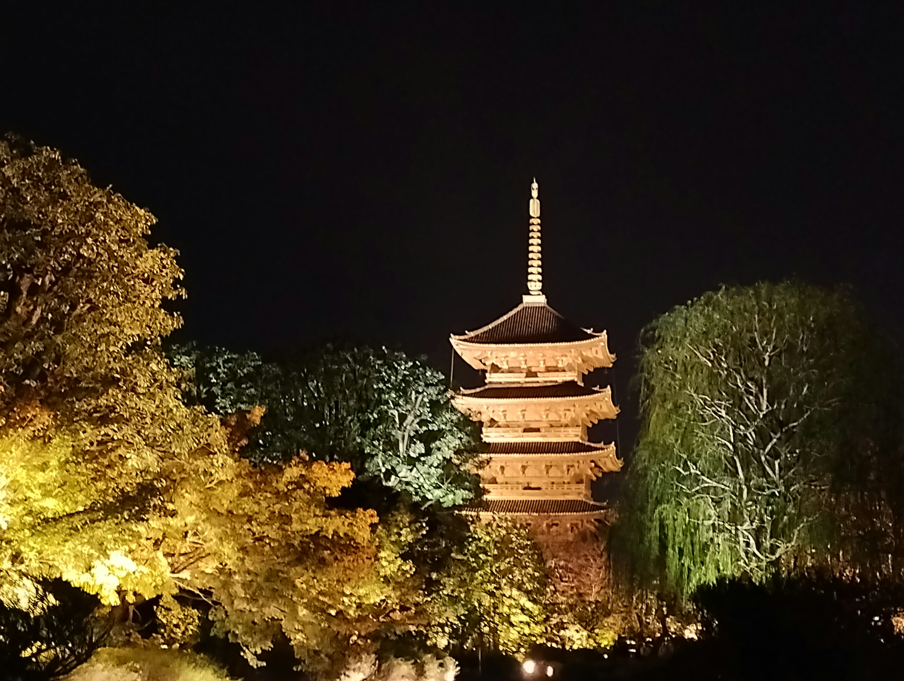 Illuminated pagoda at night surrounded by colorful trees