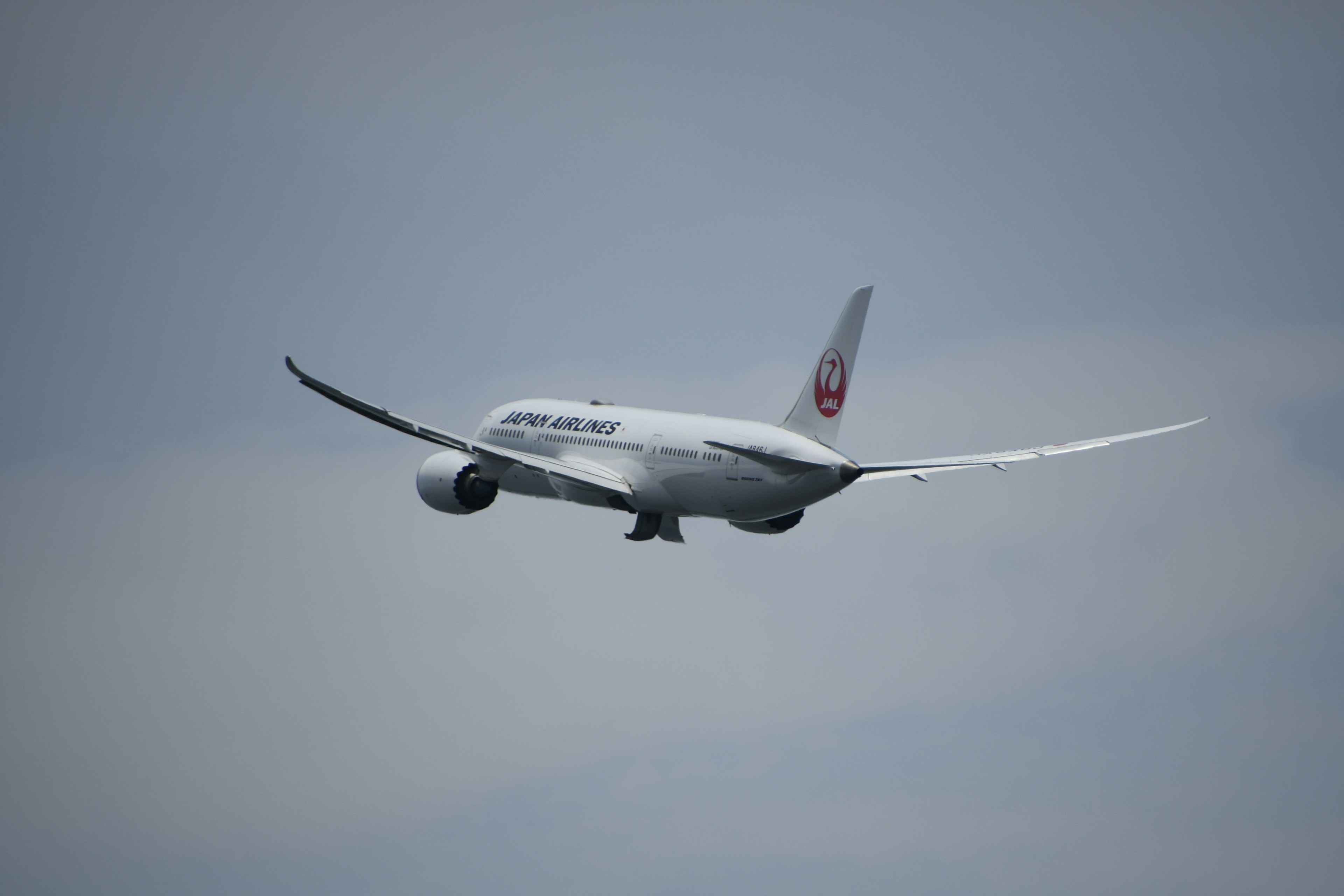 Un Boeing 787 di Japan Airlines che vola nel cielo