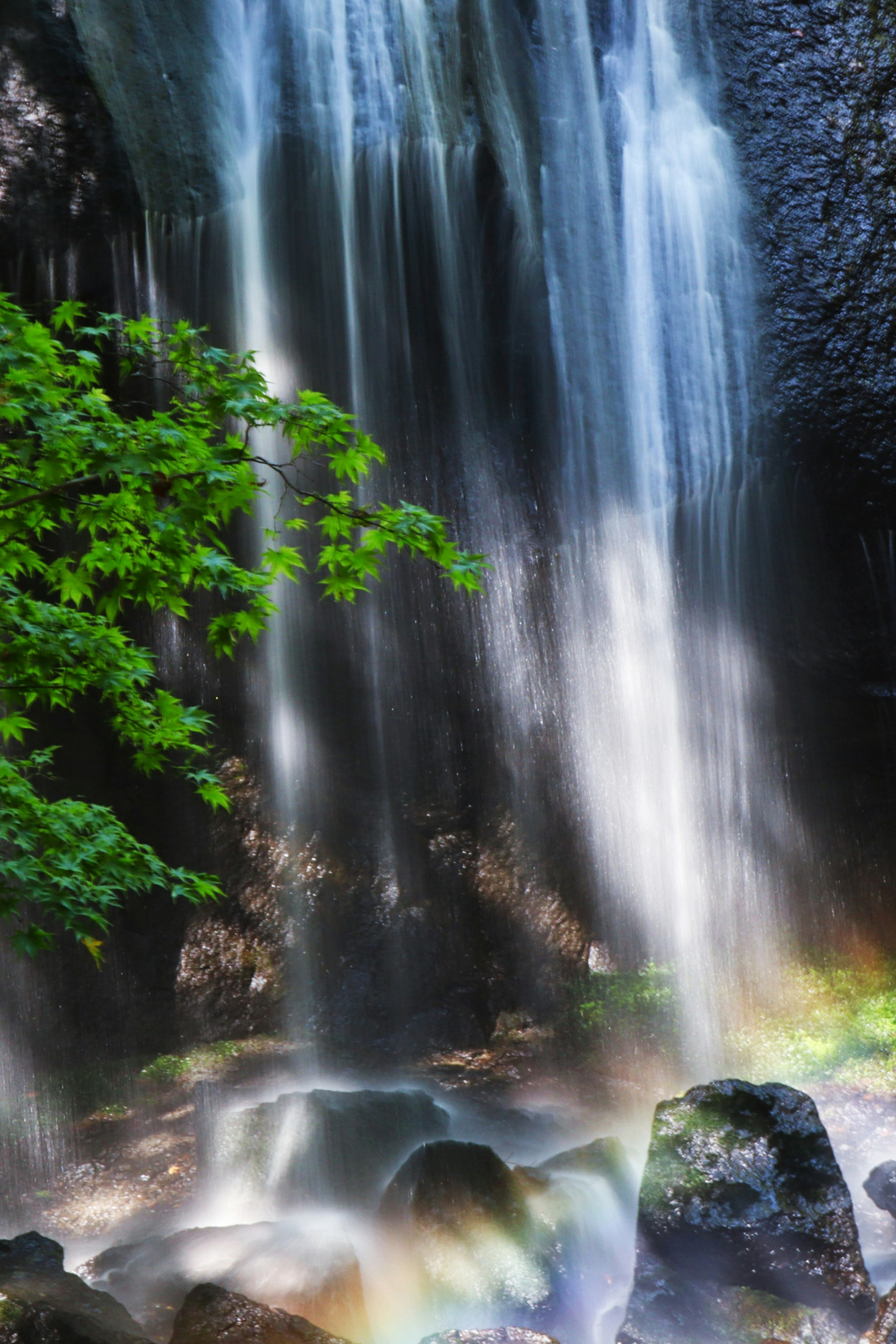 Air terjun yang indah dengan dedaunan hijau subur