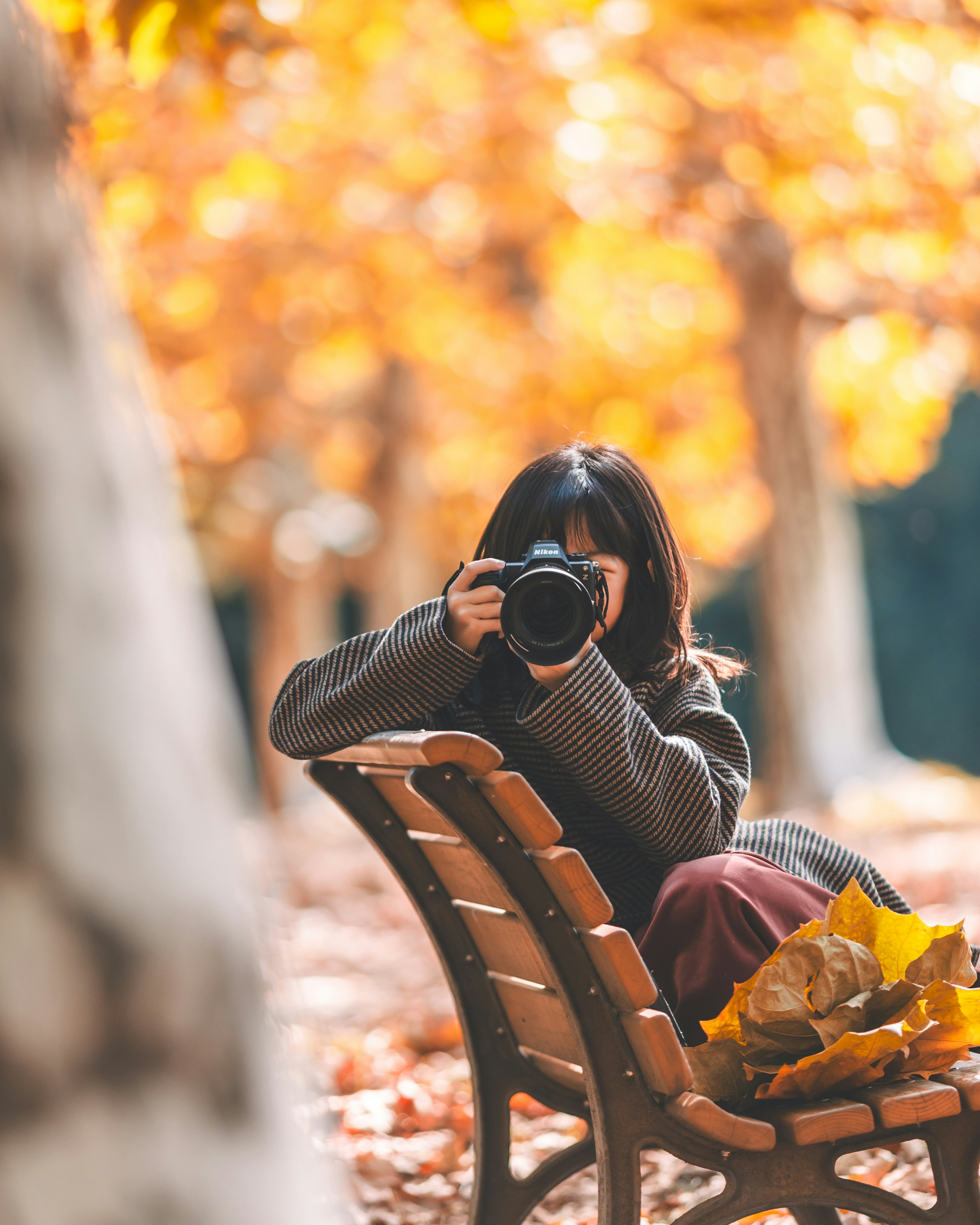 A woman sitting on a bench in an autumn park holding a camera