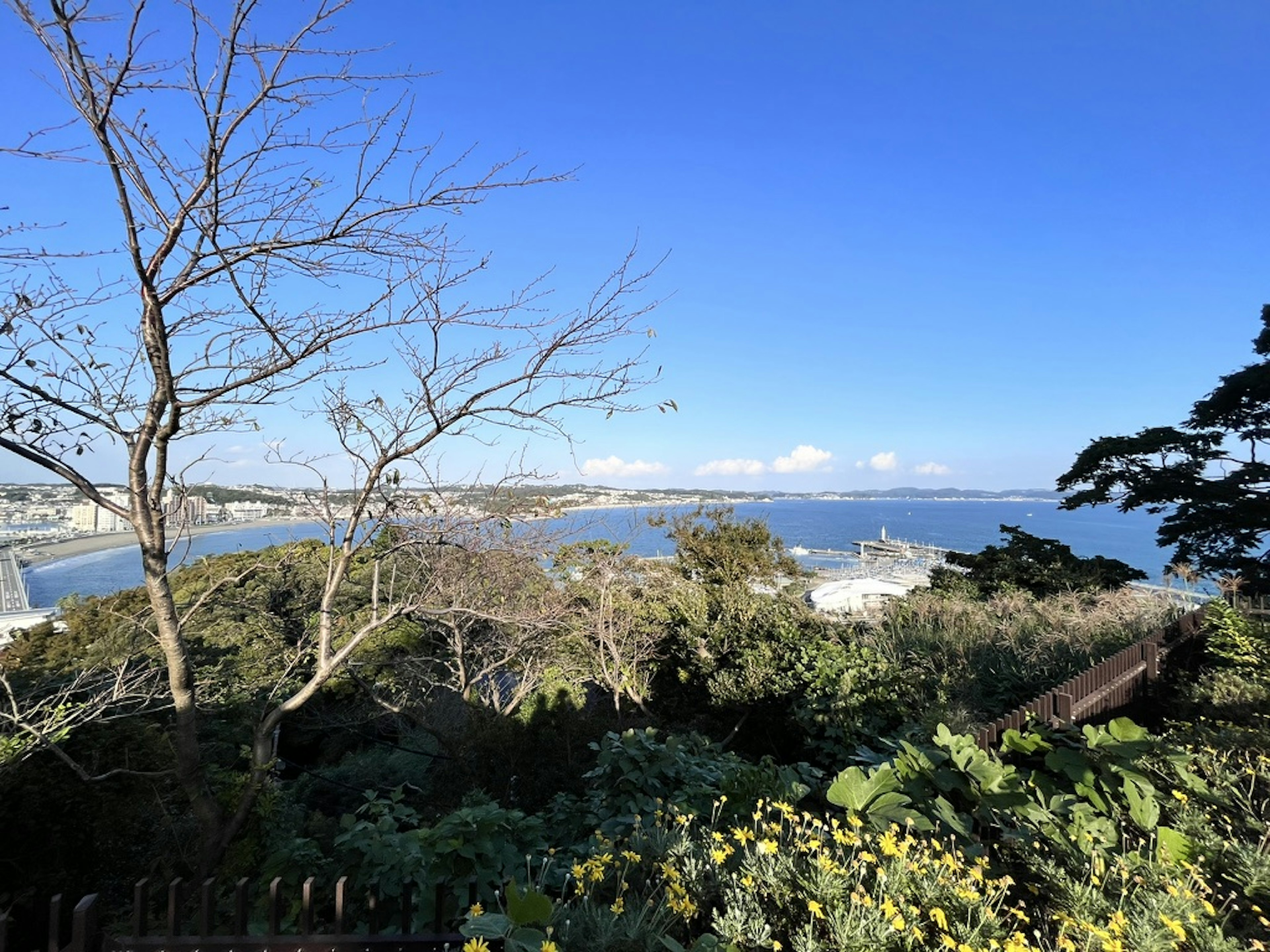 Scenic view of the sea and greenery under a blue sky