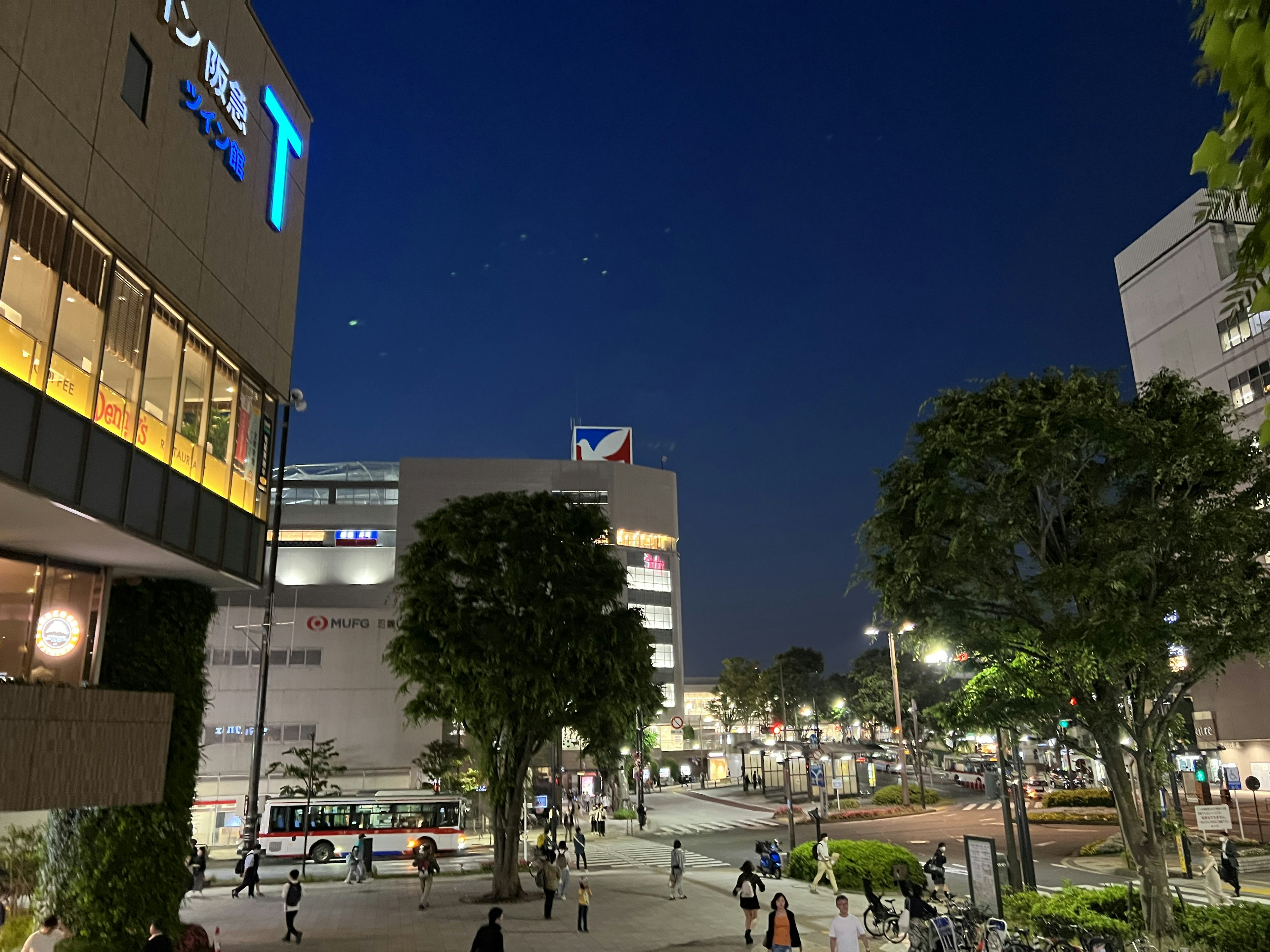 Vista nocturna de una plaza con personas y árboles