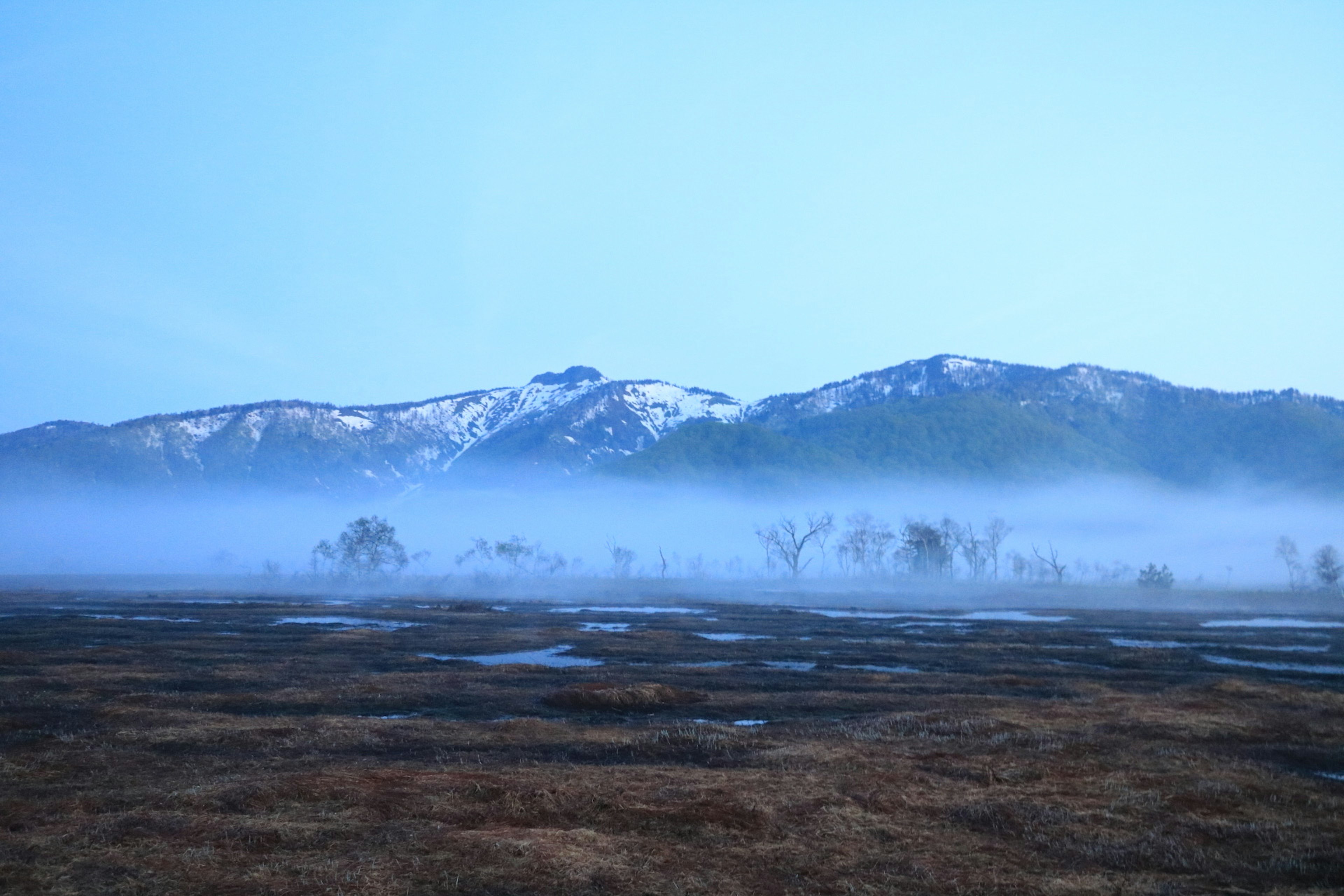 霧に包まれた山々と広がる草原の風景