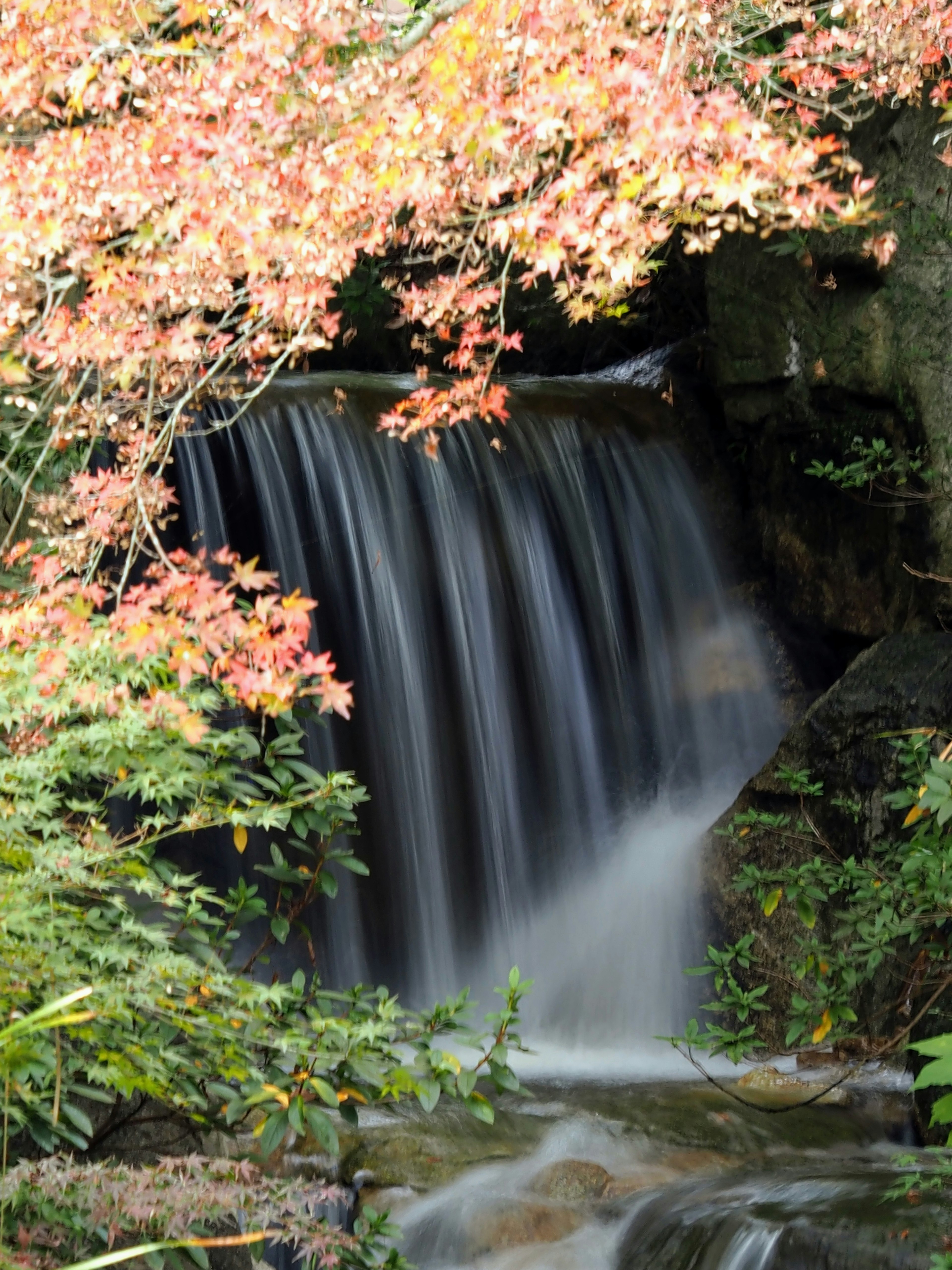 Ein malerischer Wasserfall umgeben von herbstlichem Laub